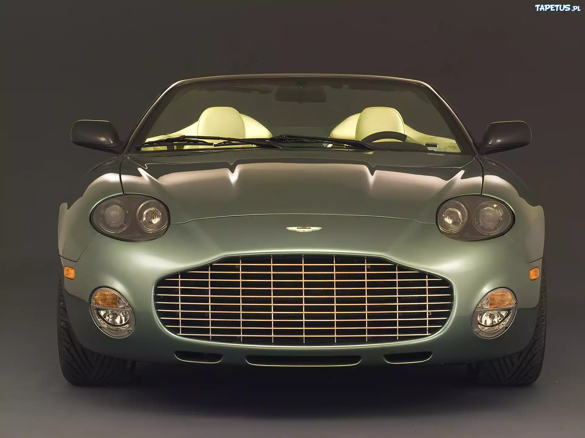 Aston Martin DB AR1, Atrapa, Chłodnica