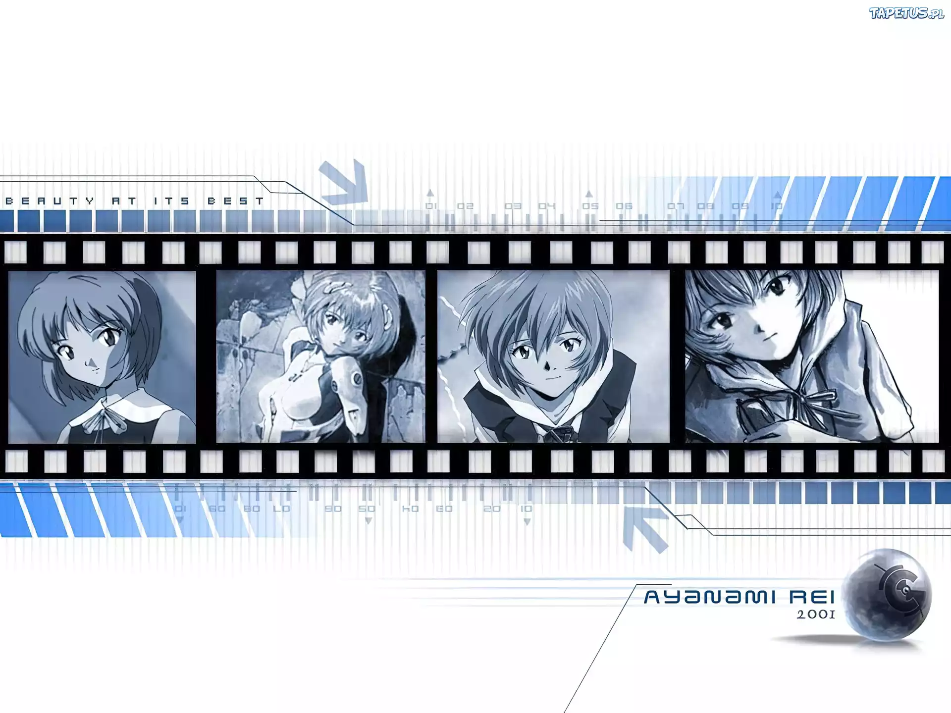 Neon Genesis Evangelion, slajd, kobiety