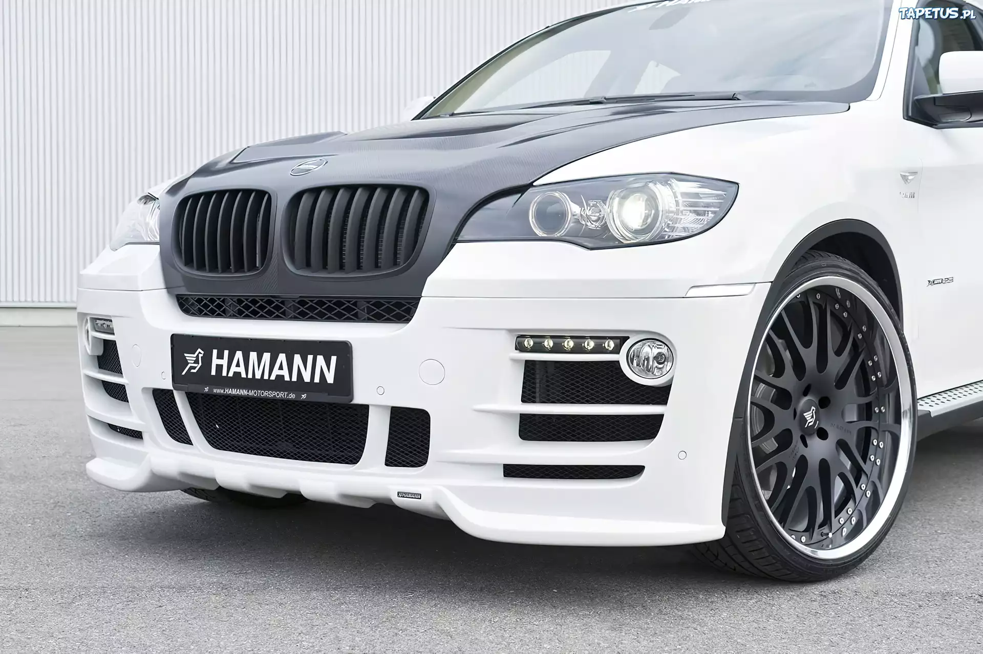 X6, Hamann