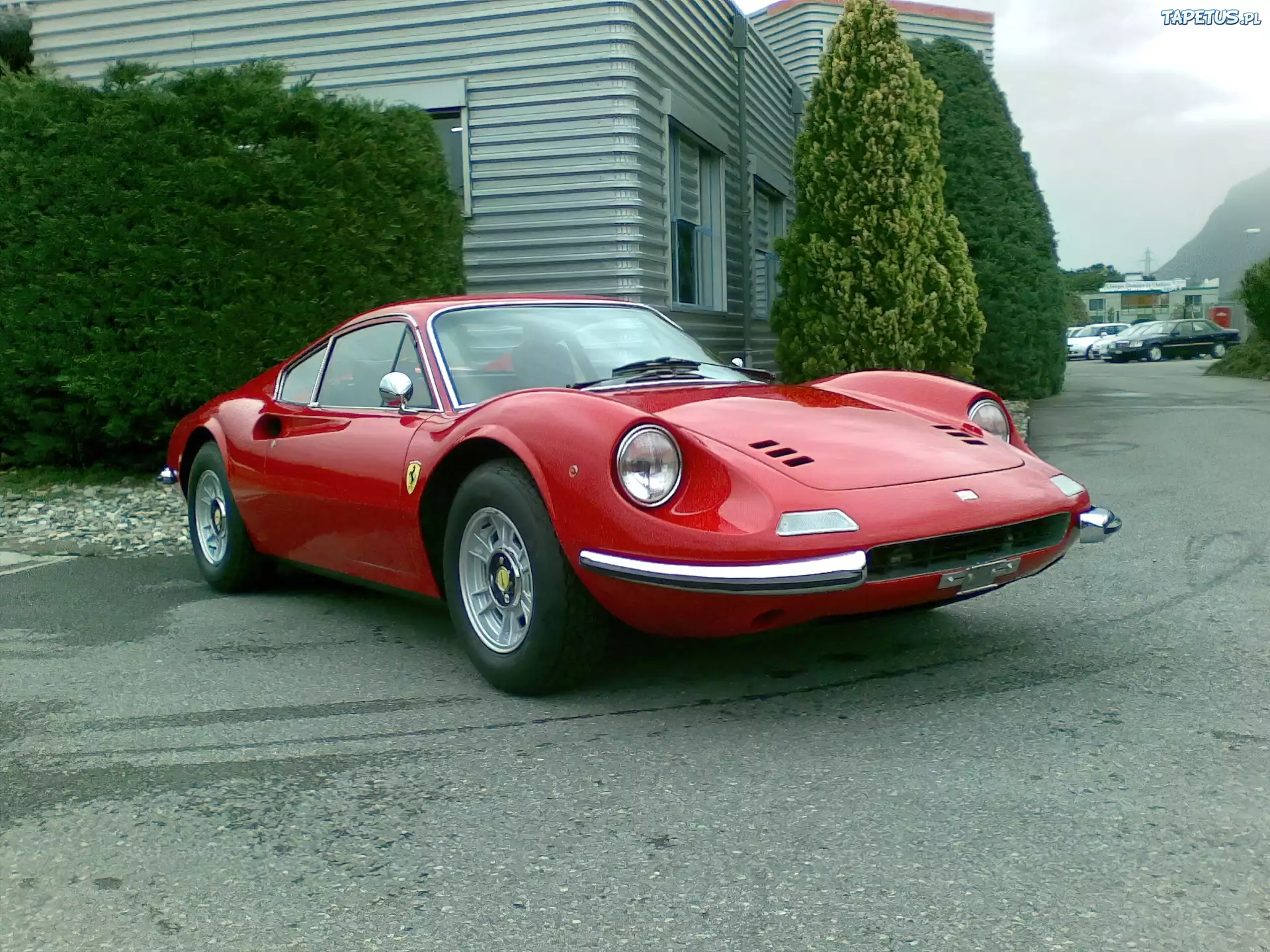 Ferrari Dino, Maska, Chromowane, Lusterka