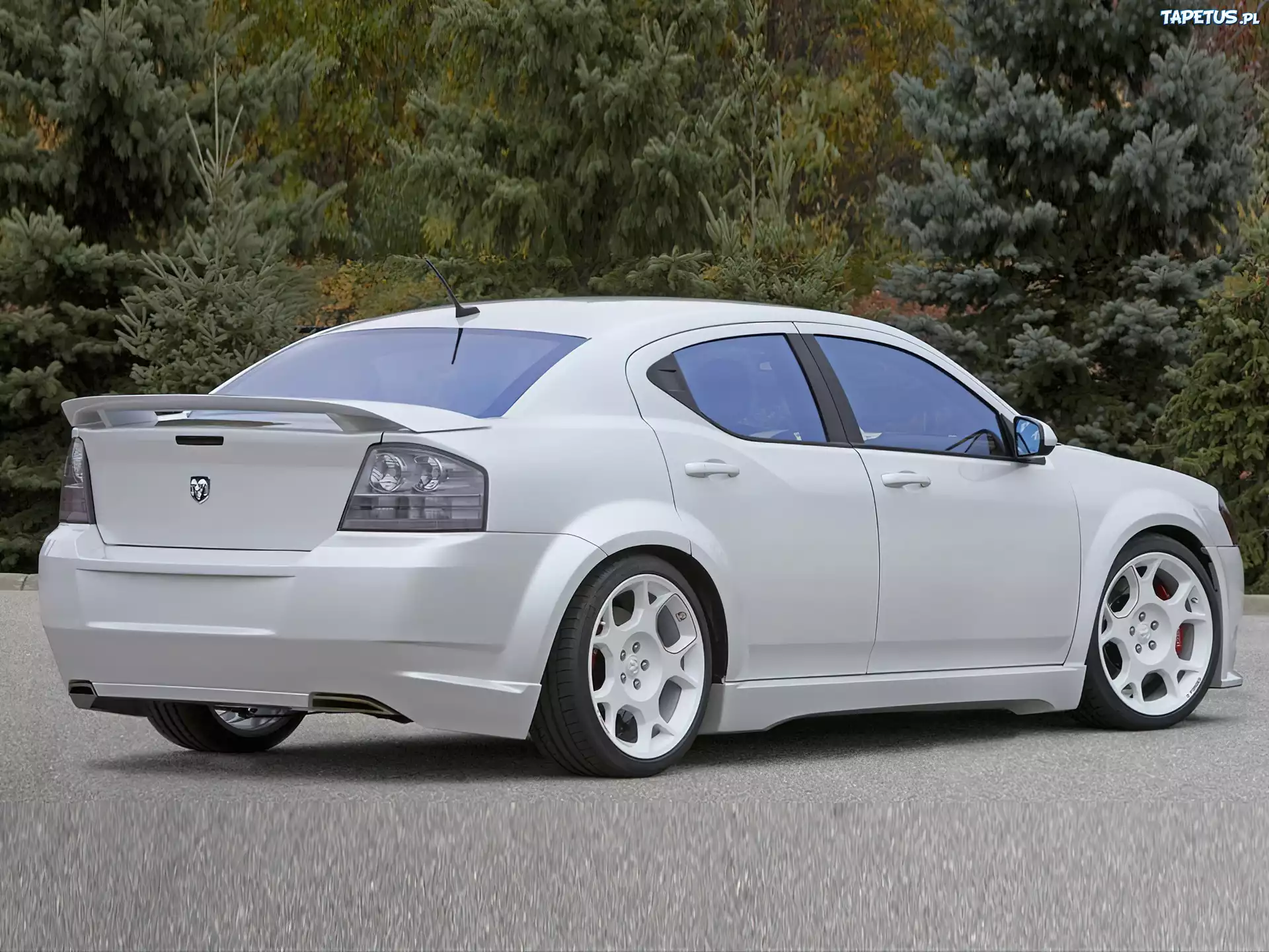 Dodge Avenger, Białe, Alufelgi