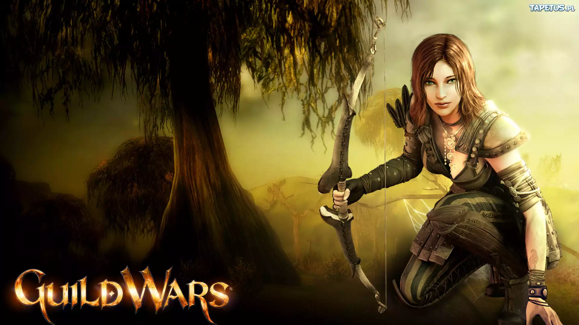 Guildwars, Łuk