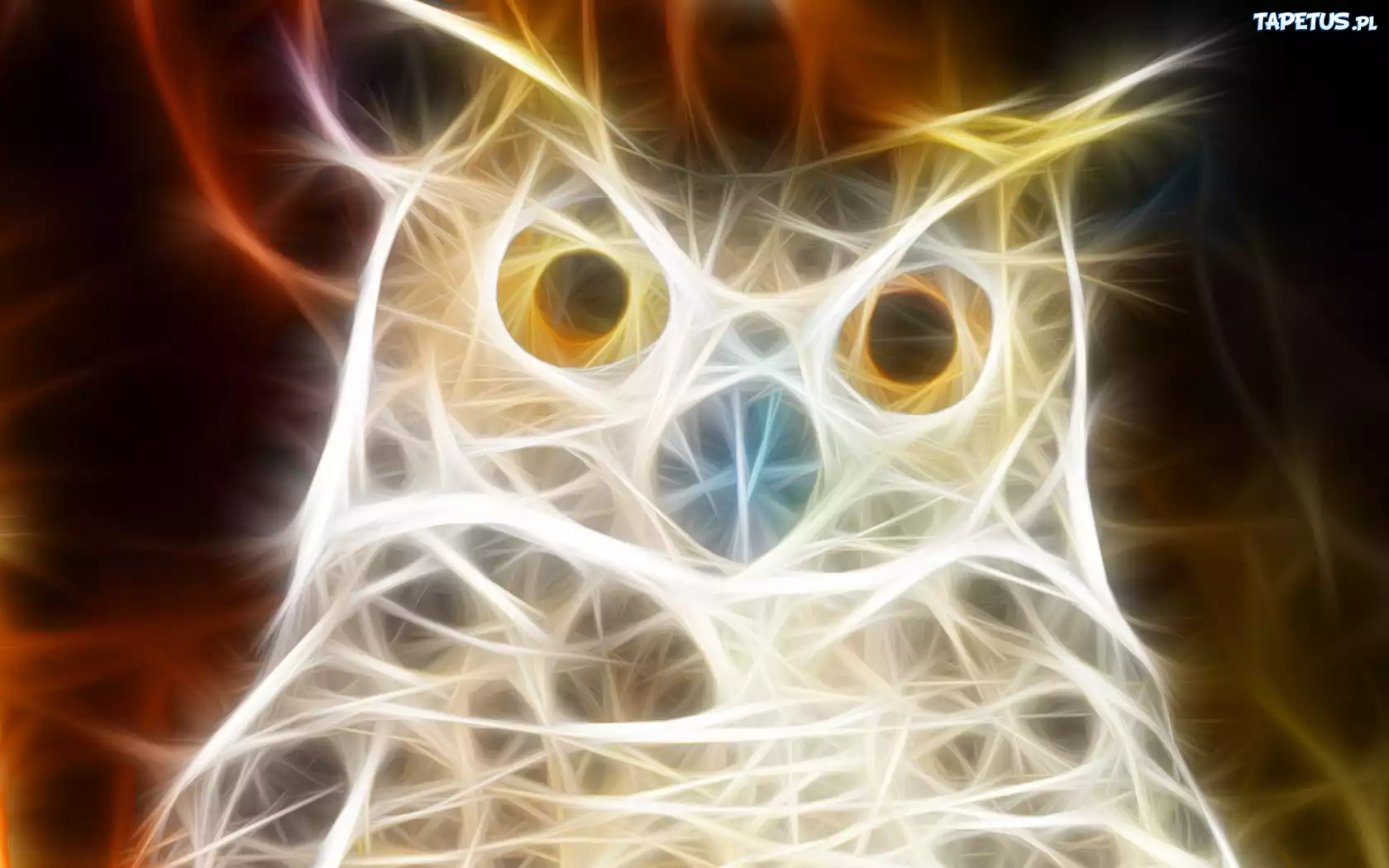 Sowa, 3D