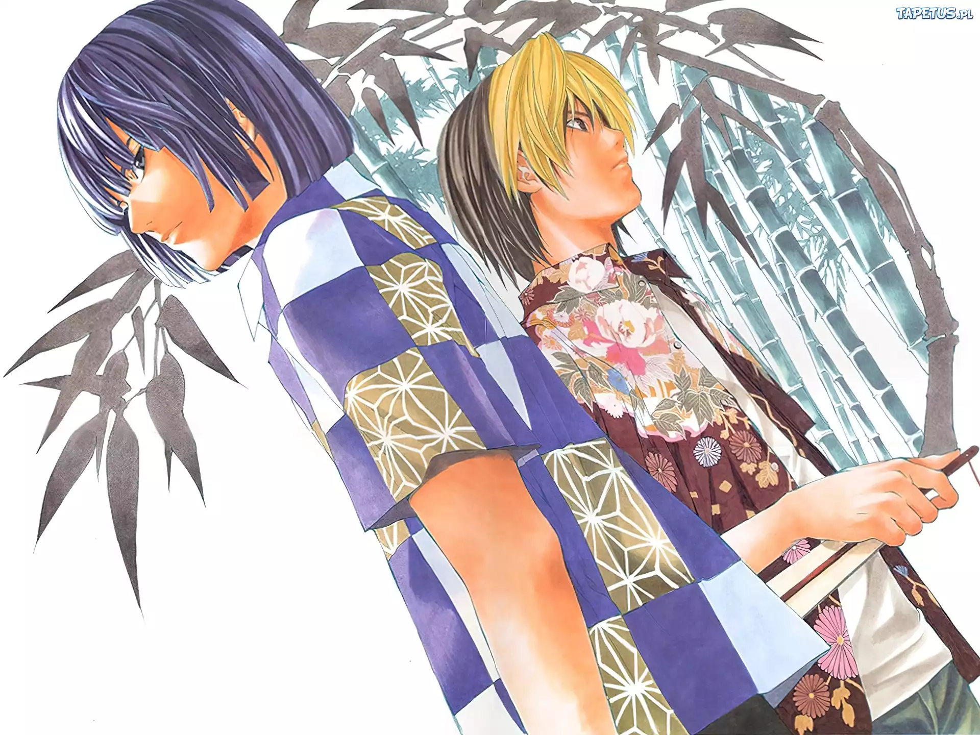 Hikaru No Go, ludzie, palmy