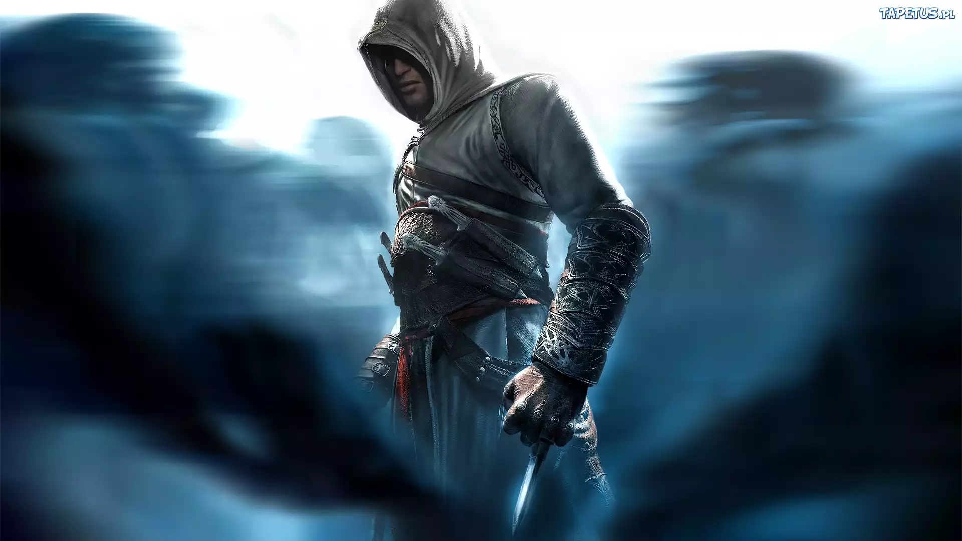 Assassins Creed, Wojownik