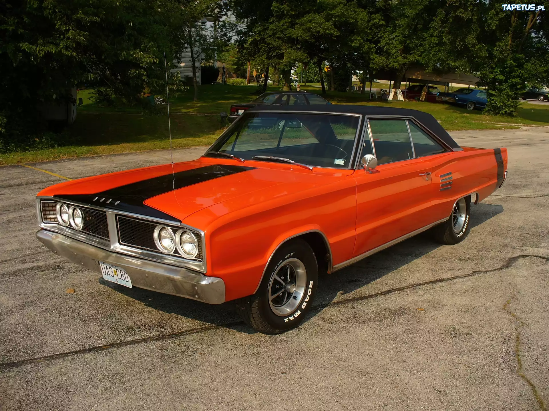 Pomarańczowy, Dodge Coronet, Ameryka