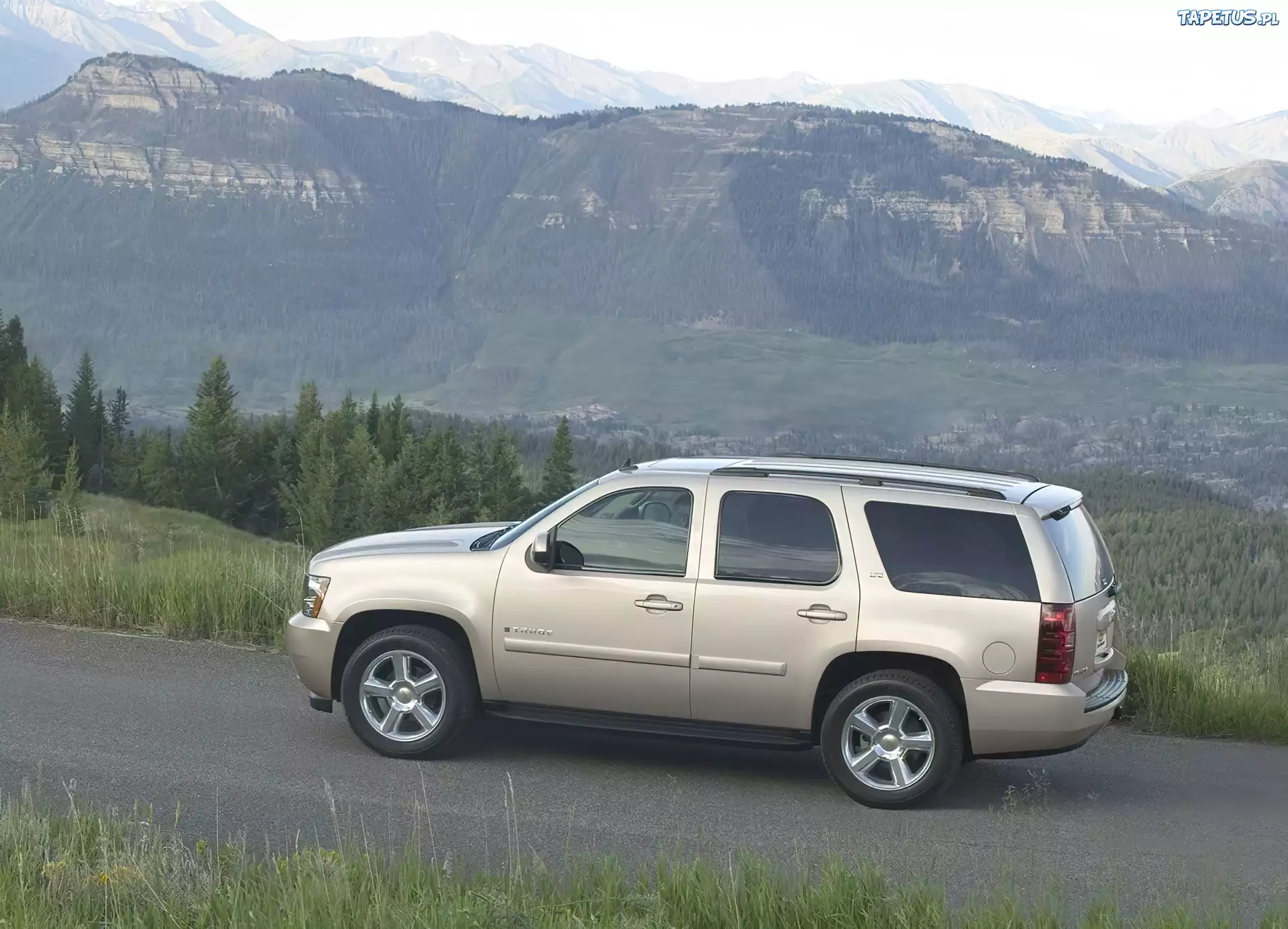 Chevrolet Tahoe, Widok
