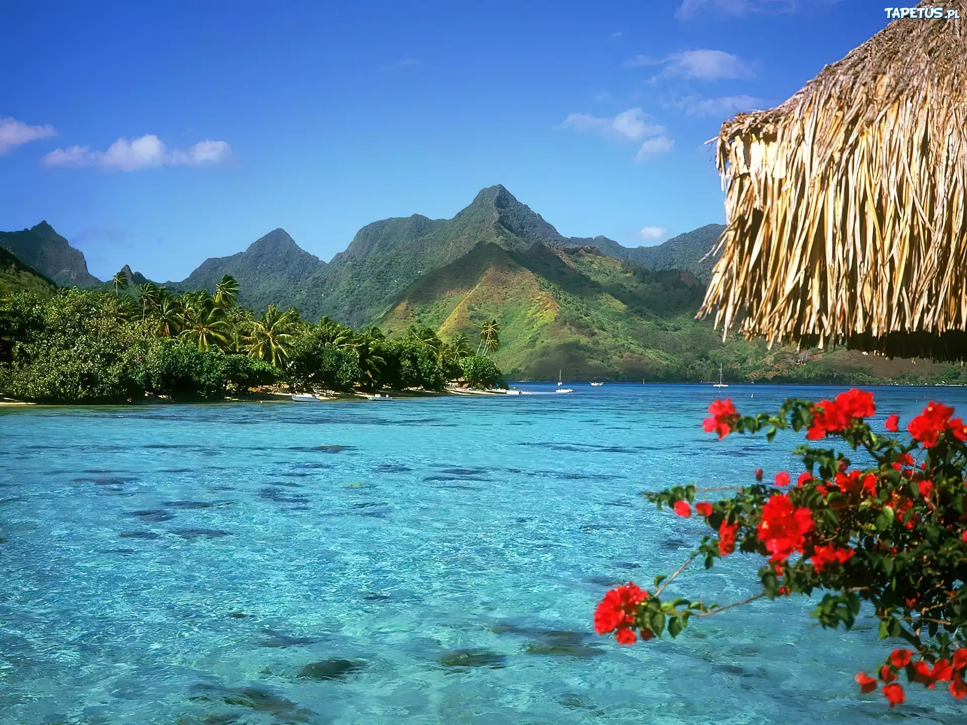 Tranquil, Lagoon, Bora, Bora
