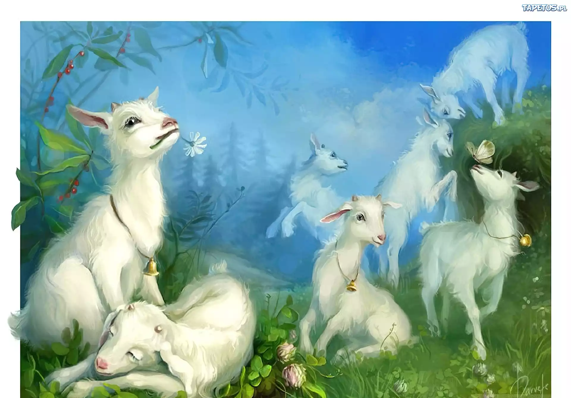 Kozy, Łąka