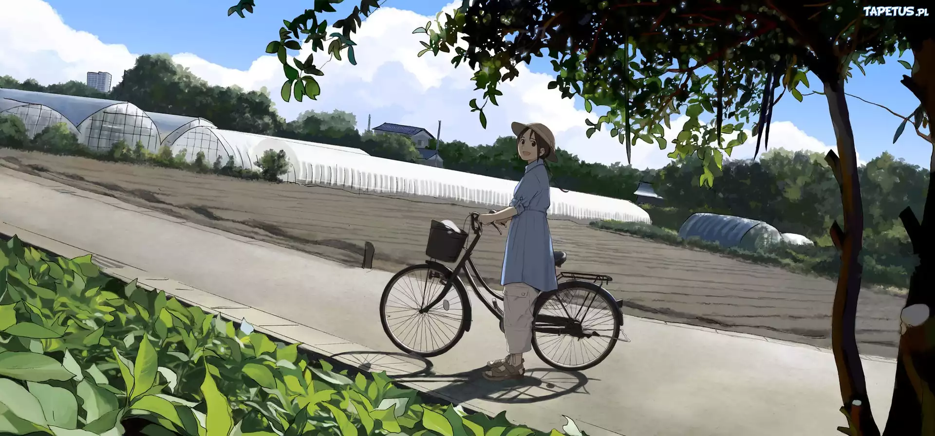 Manga, Rower, Kobieta, Szklarnia