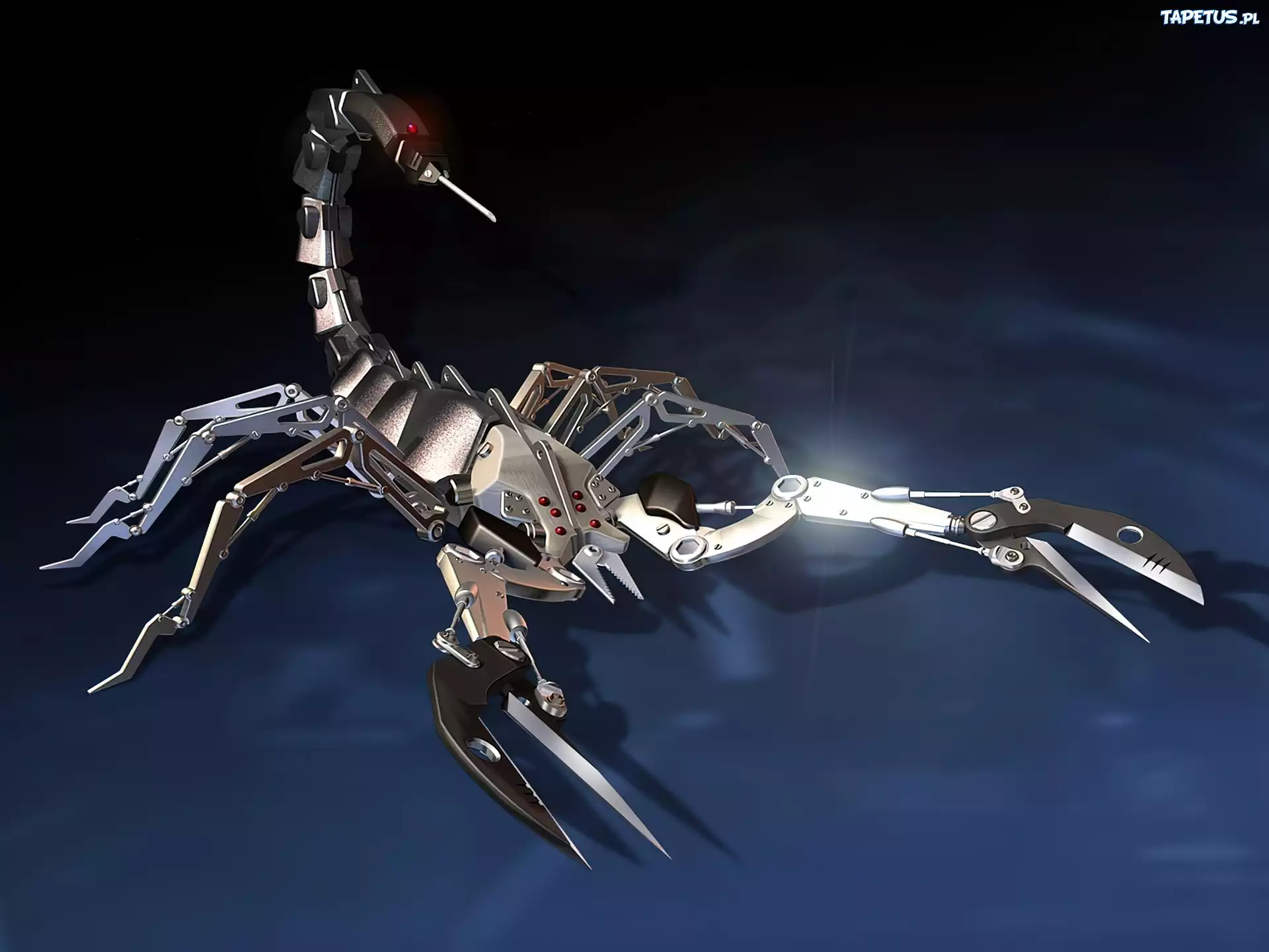 Mechaniczny, Skorpiony, Robot