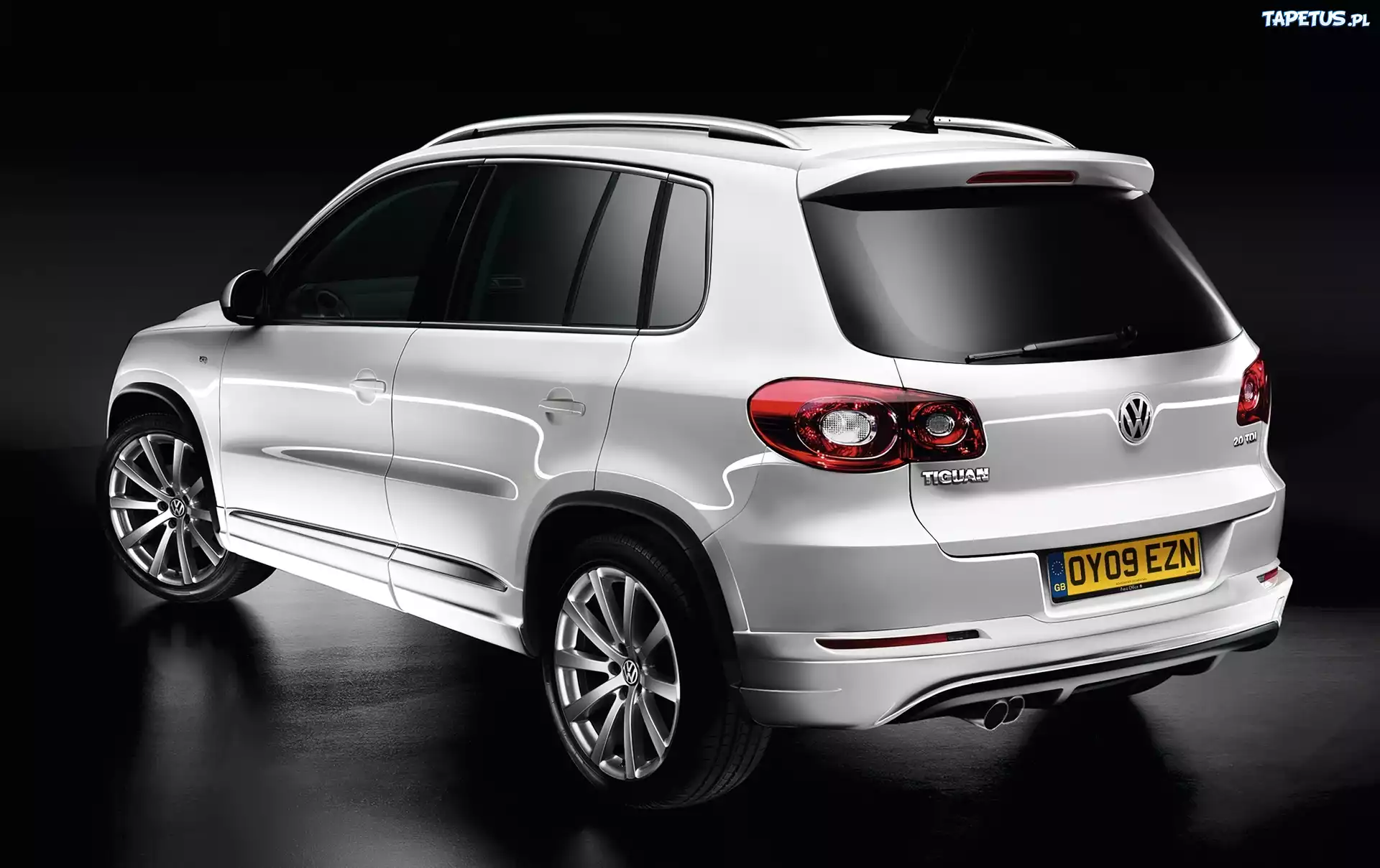 Volkswagen Tiguan, Relingi, Dachowe