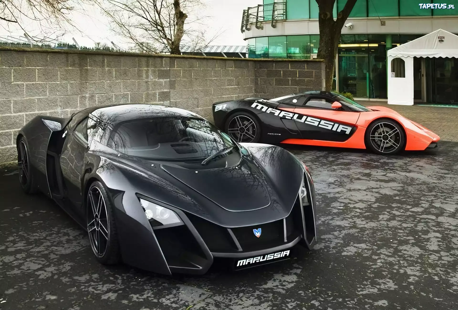 Marussia B1, B2