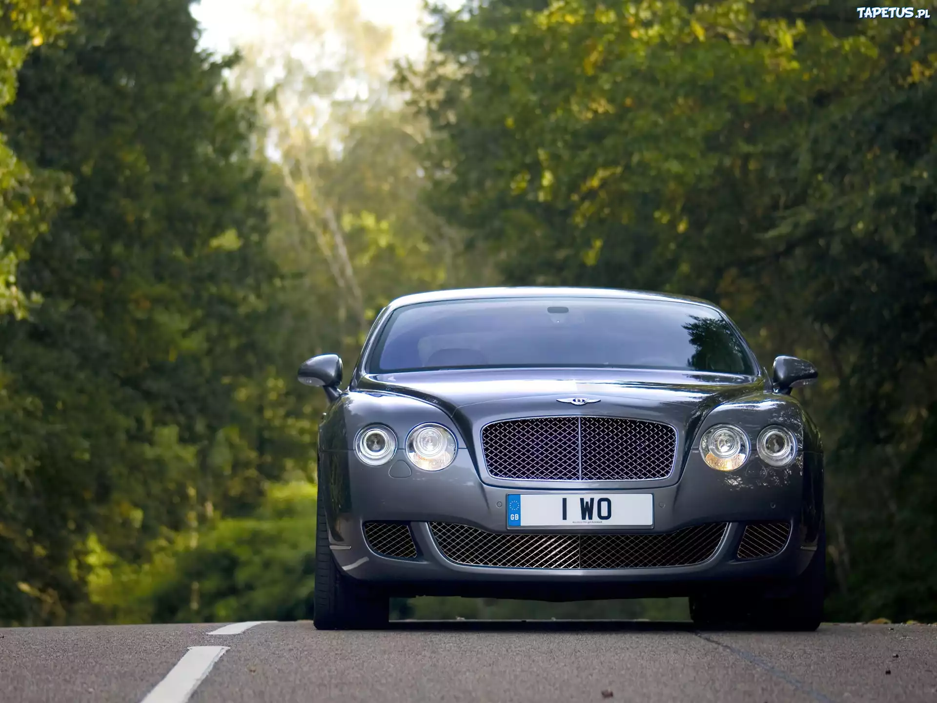 Bentley Continental GT, Zderzak, Przedni