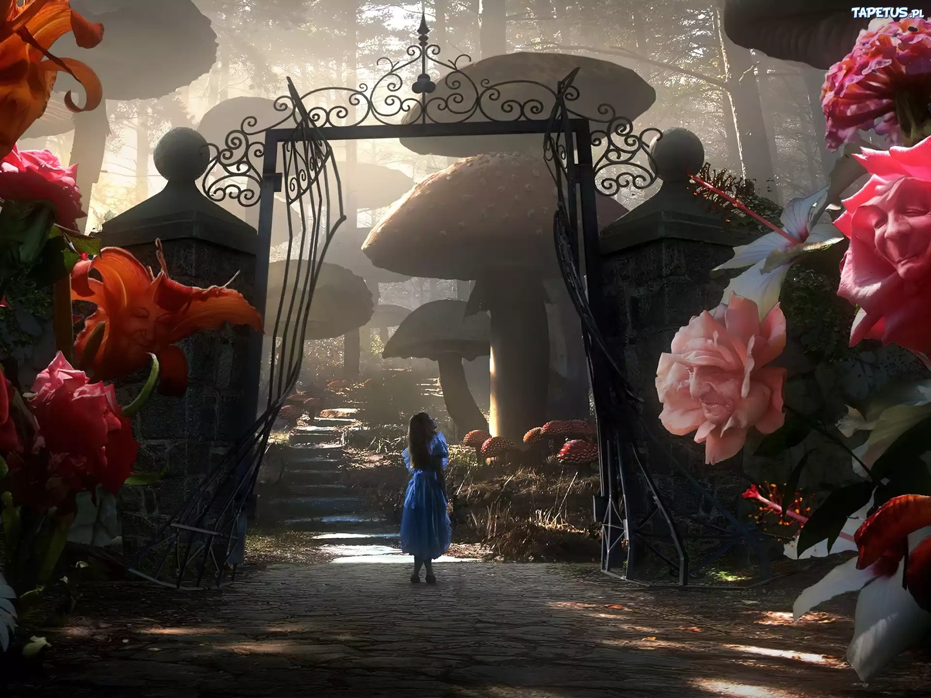 Alicja w Krainie Czarów, Alice in Wonderland, Bajkowa, Kraina