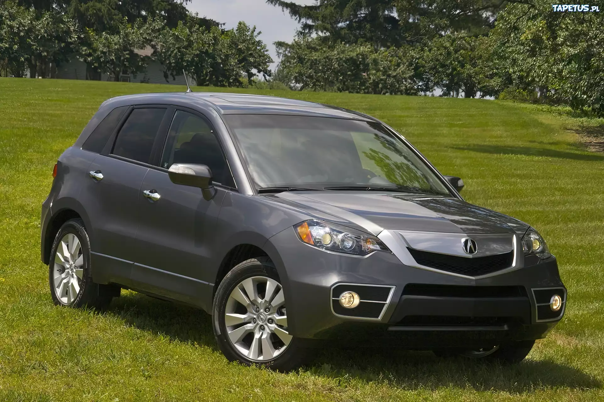 Acura RDX, Halogeny, Atrapa, Chrom