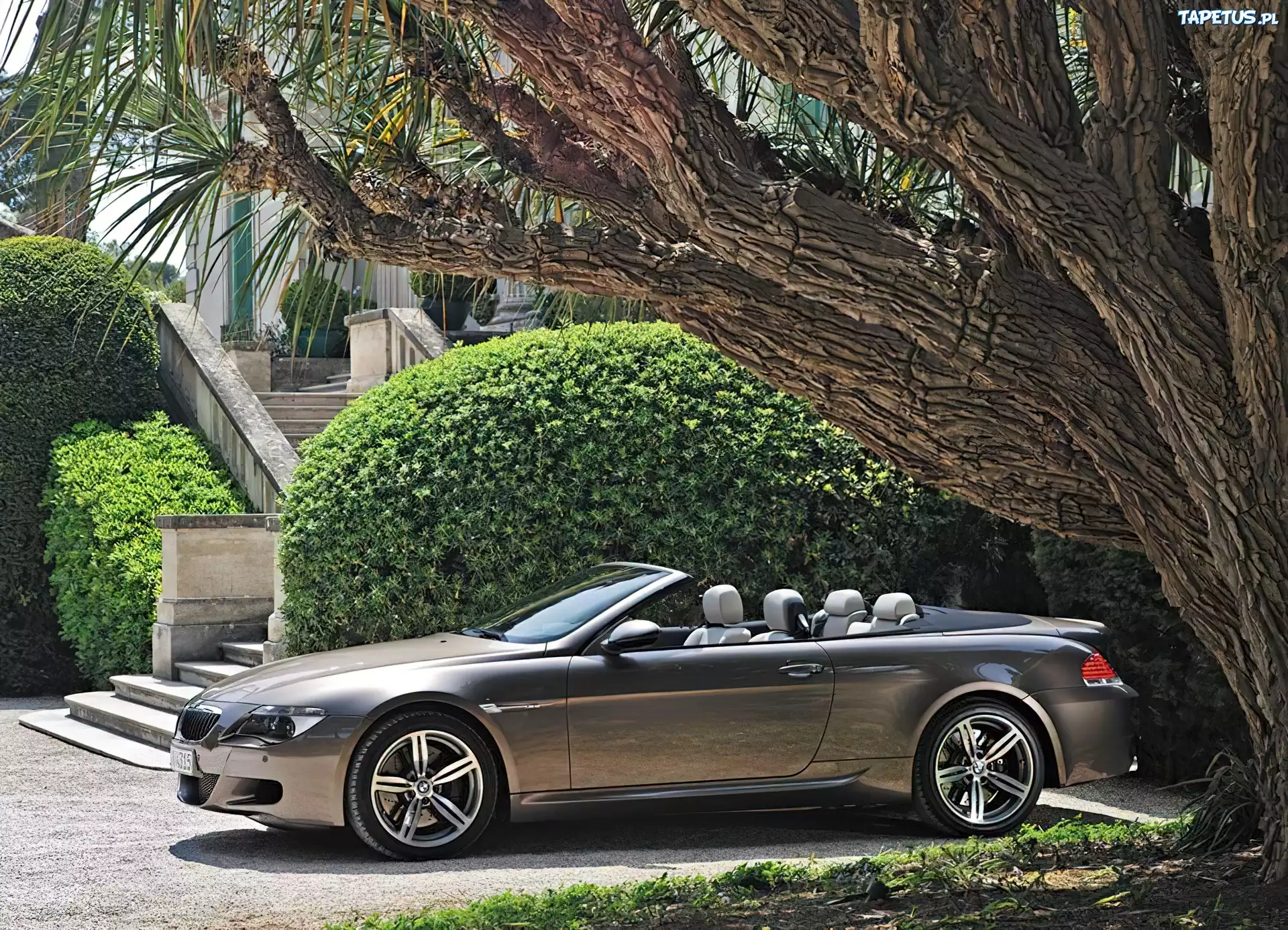 BMW E63, Kabriolet