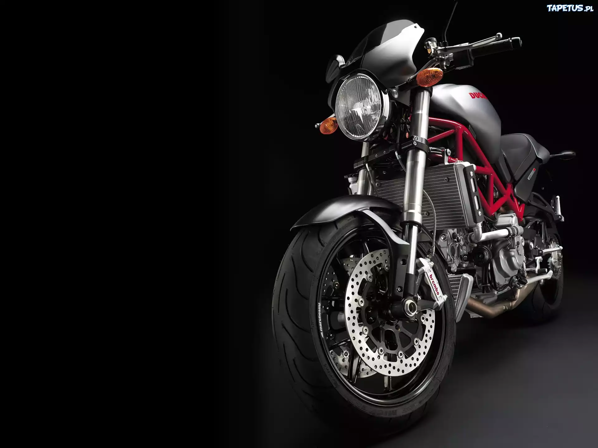 Ducati Monster S4R, Lampa, Chłodnica