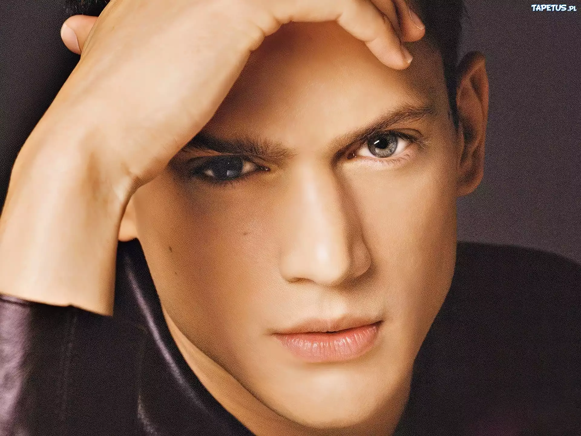 Wentworth Miller, szare oczy