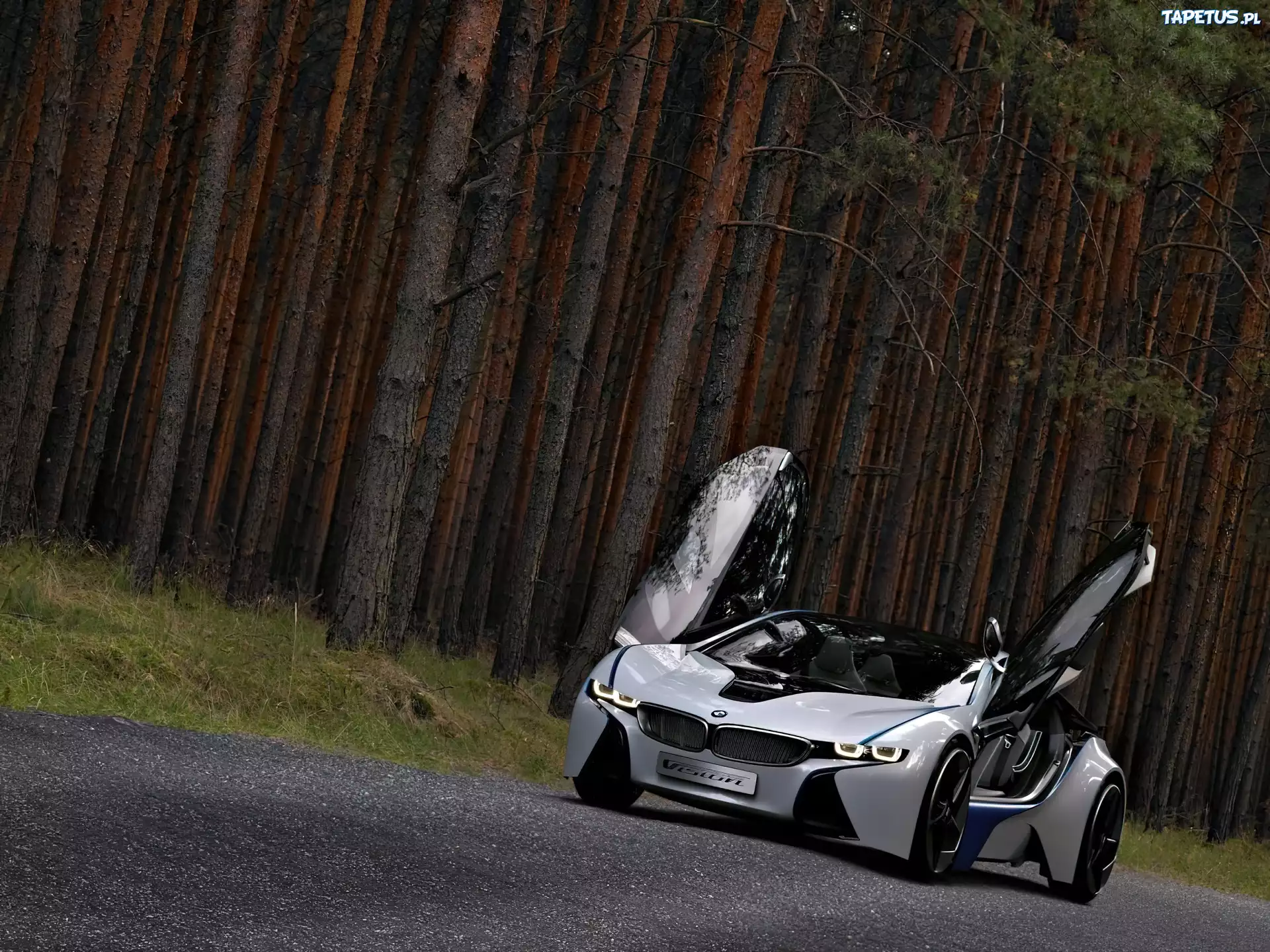 BMW Vision Efficient Dynamics