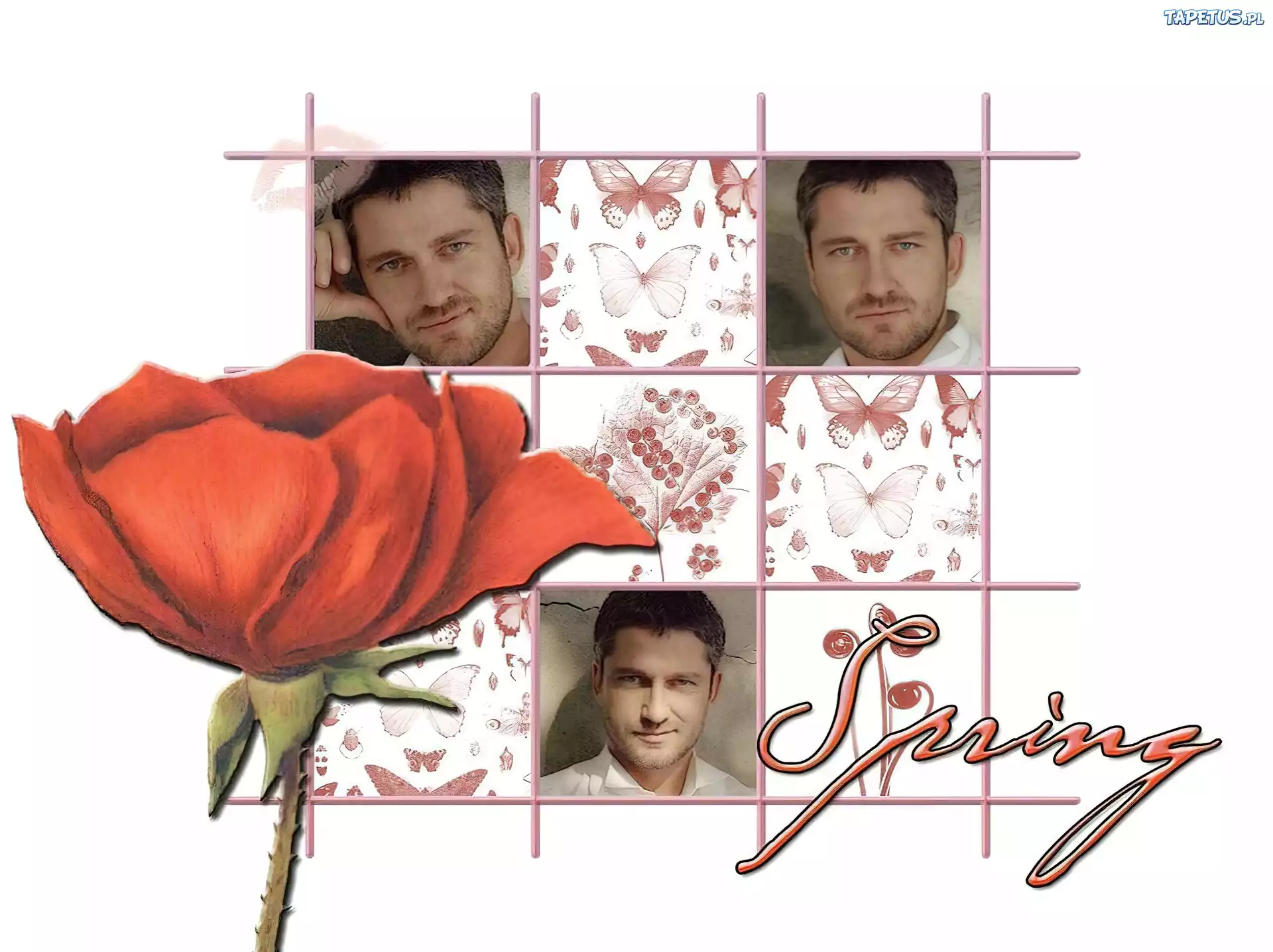 Gerard Butler,spring, motyl, mak