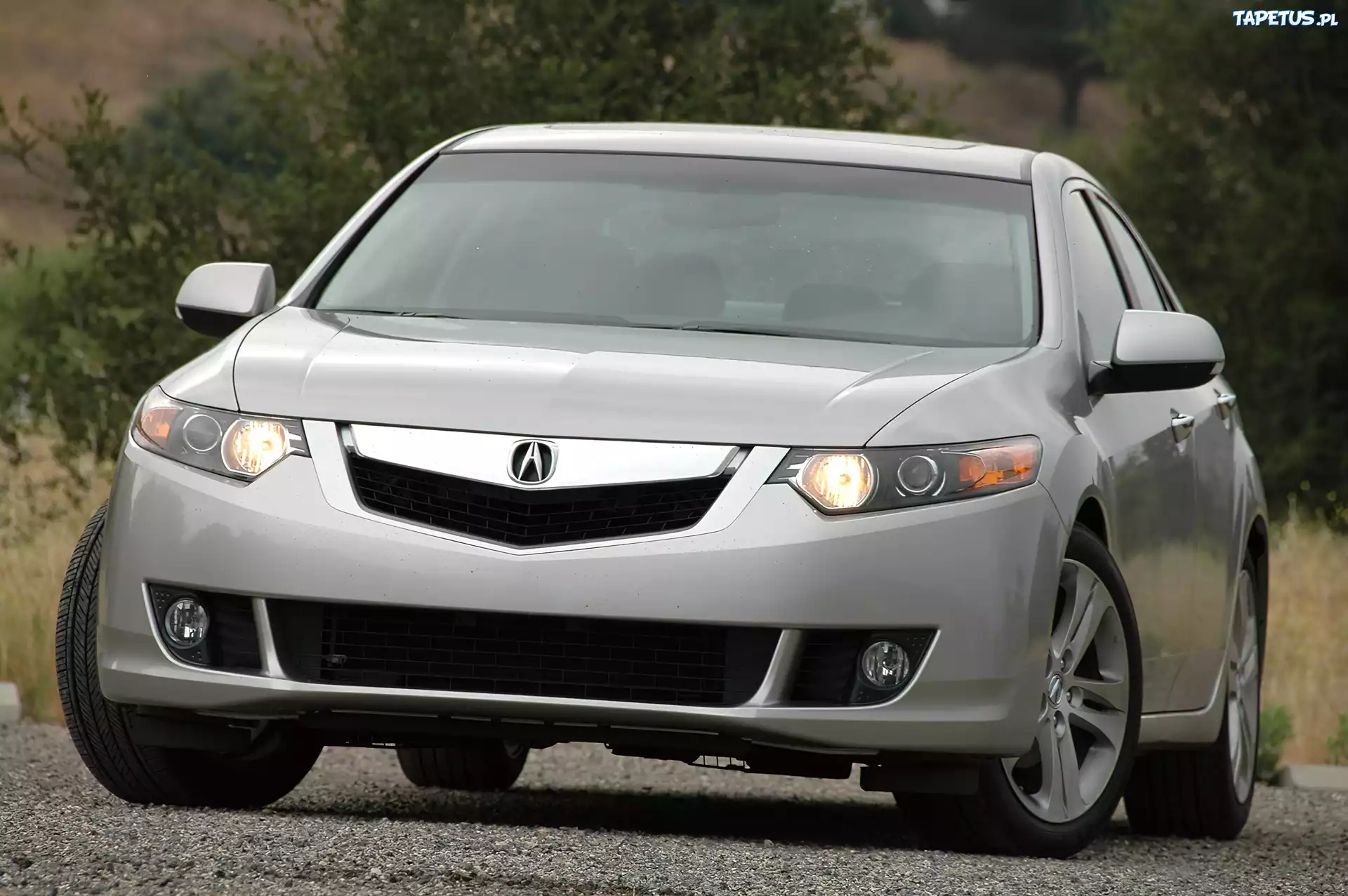 Przód, Acura TSX, Wlot, Powietrza