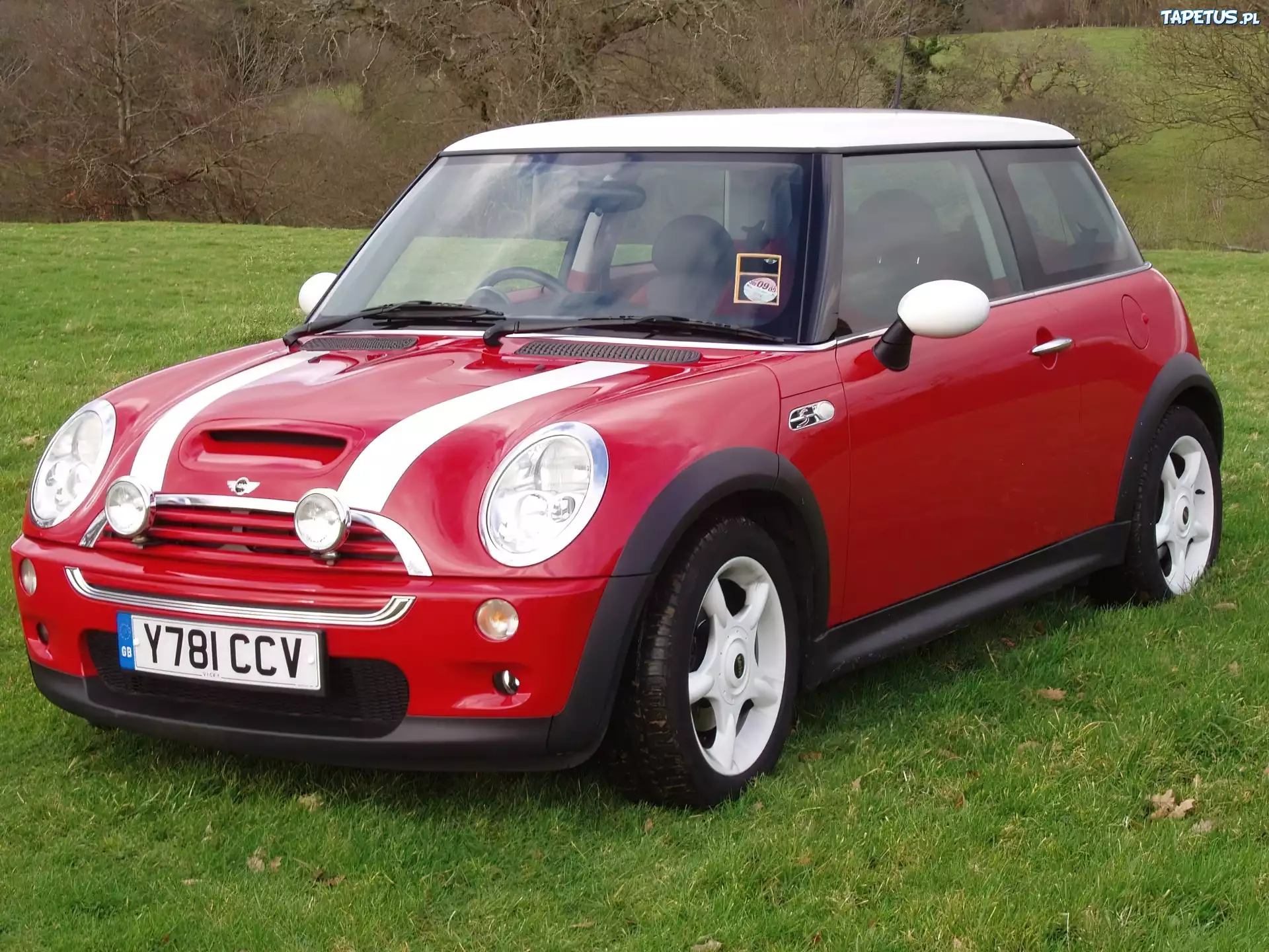 Czerwony, Mini Cooper, Biały, Dach