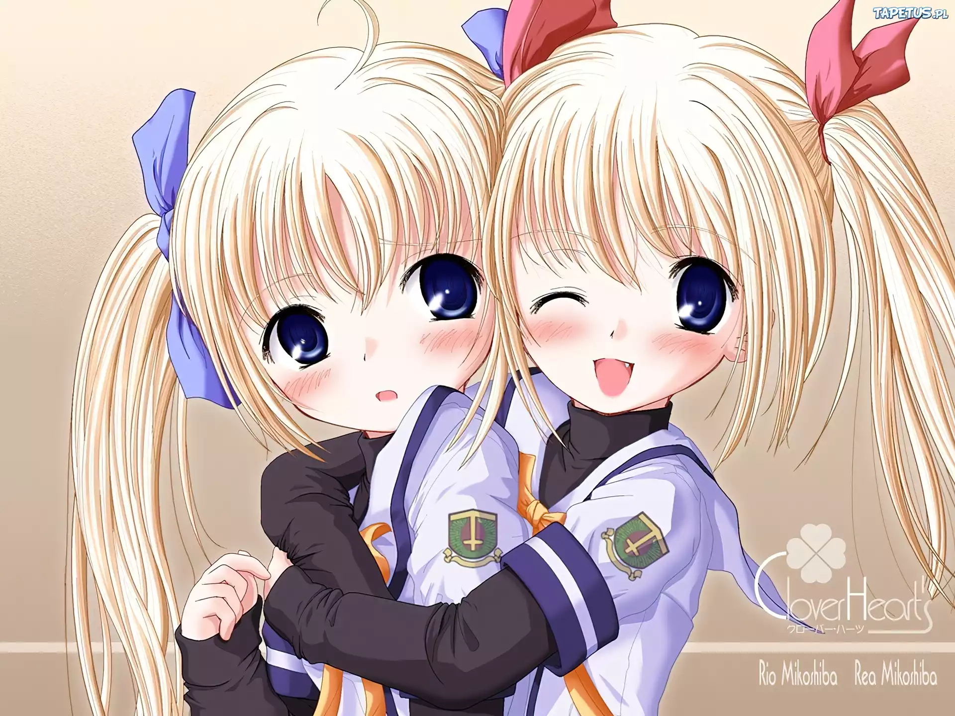 Manga, Clover