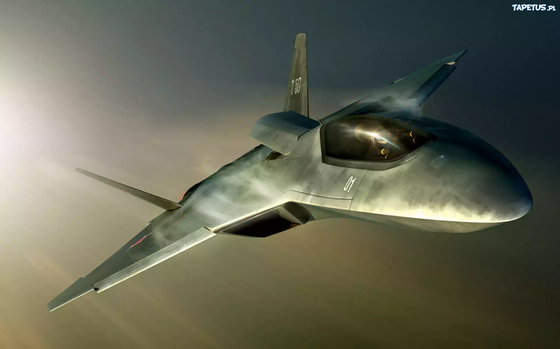 Suchoj T-50, Grafika