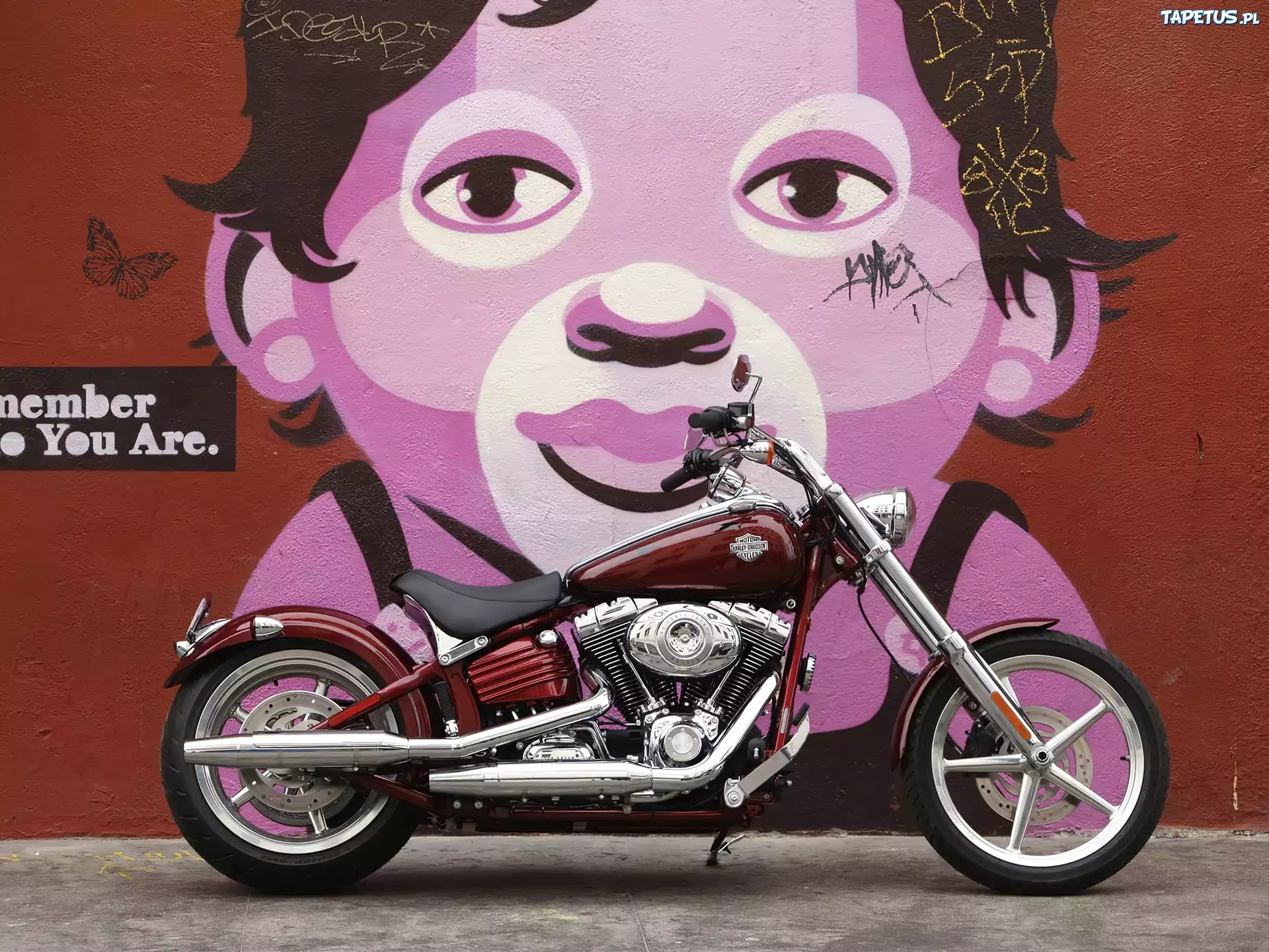 Harley Davidson Softail Rocker C, Graffiti