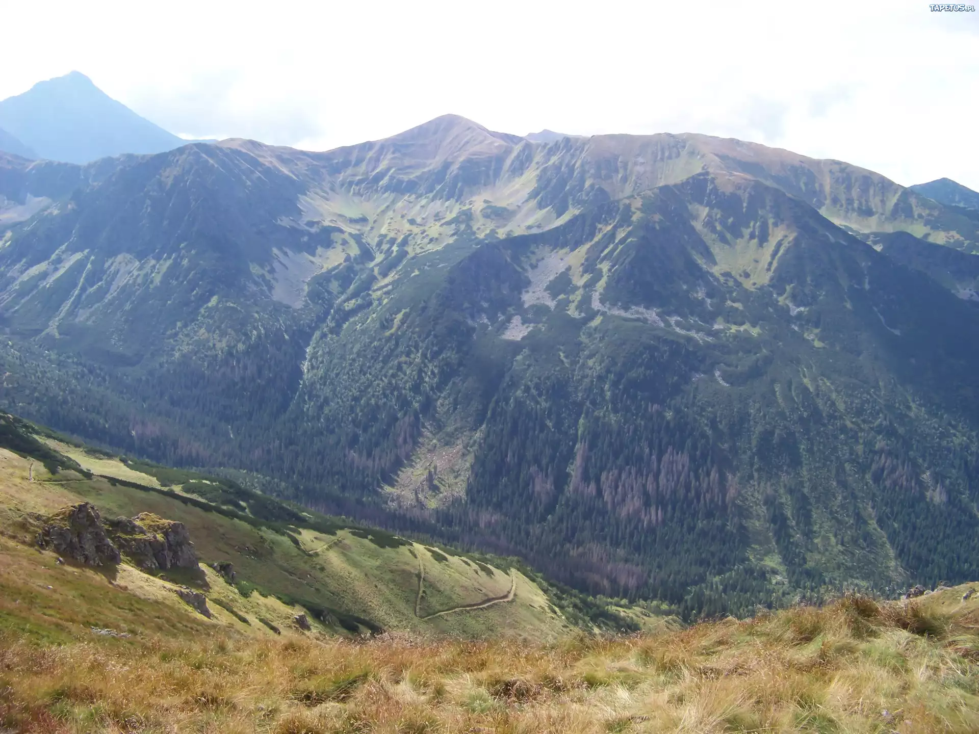 Strome, Zbocza, Gór