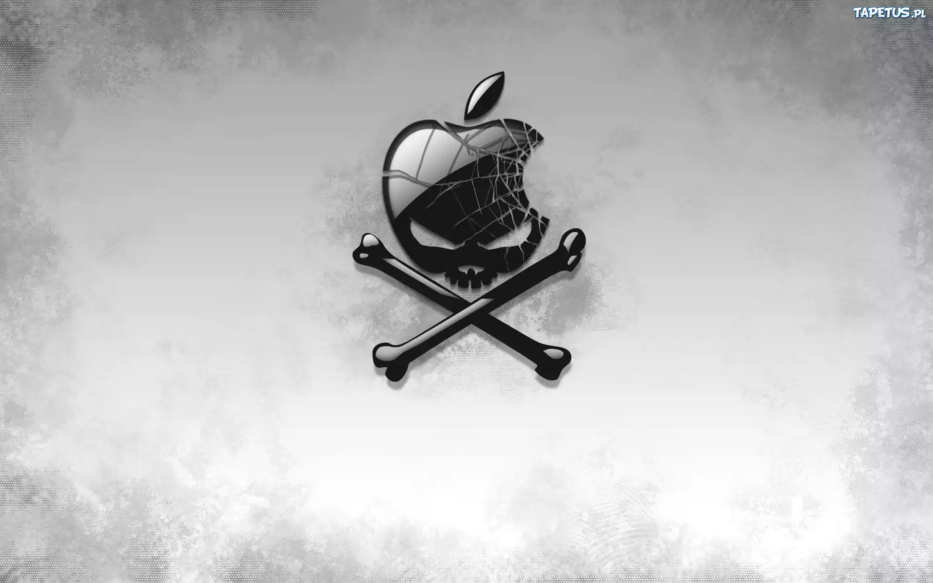 Czaszka, Apple