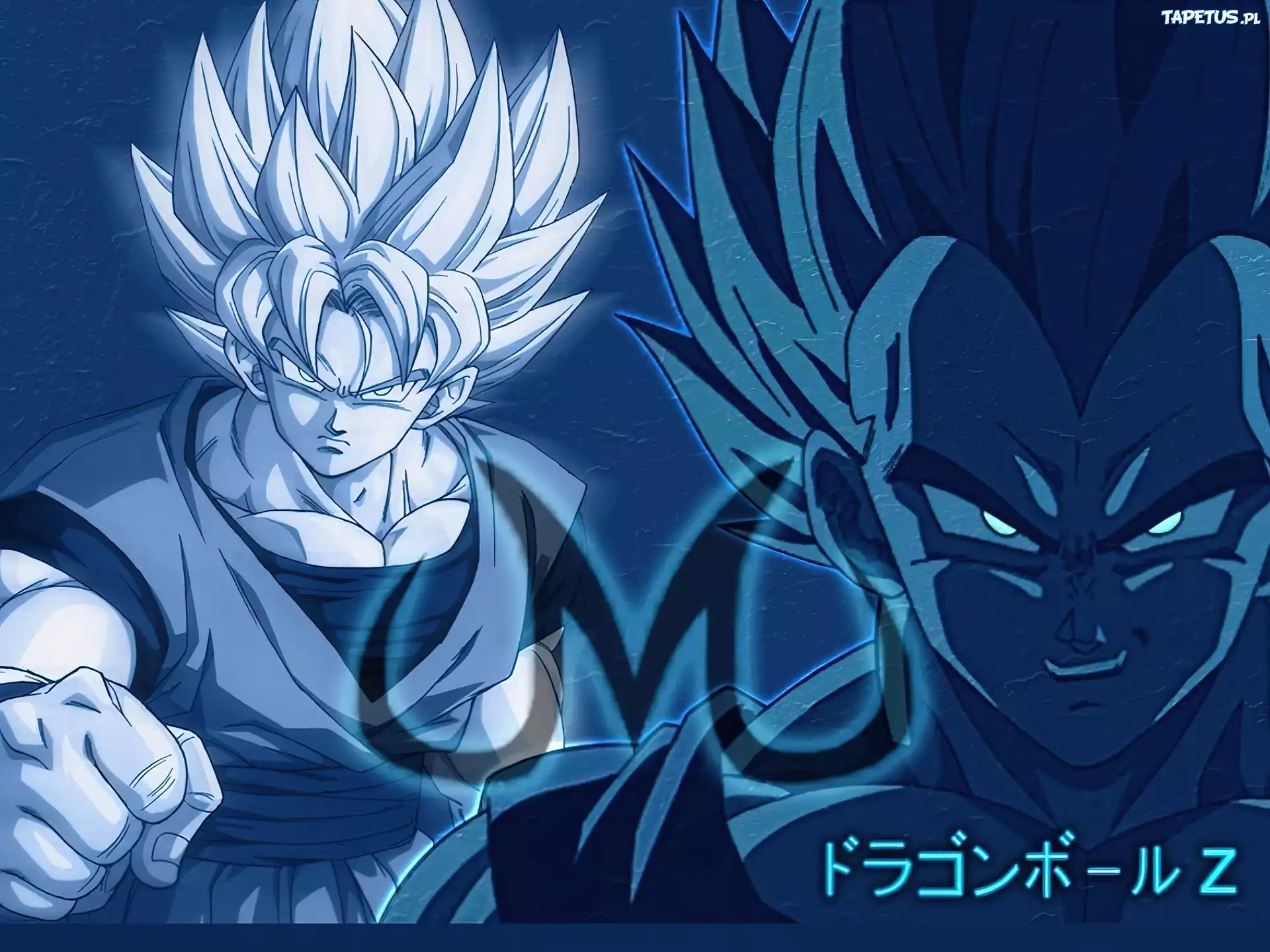 Majan Vegeta, w błękicie
