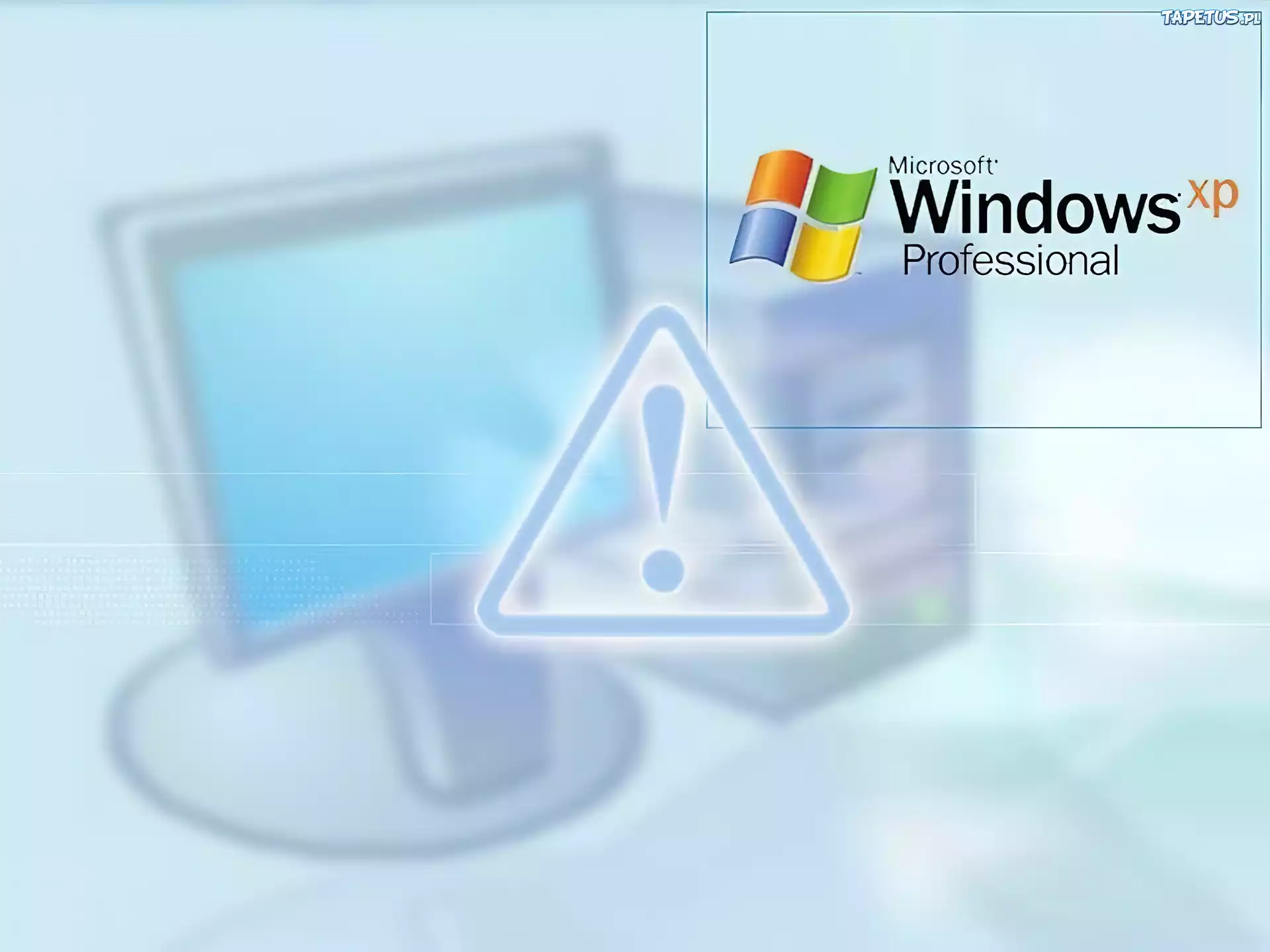 Windows XP, Professional