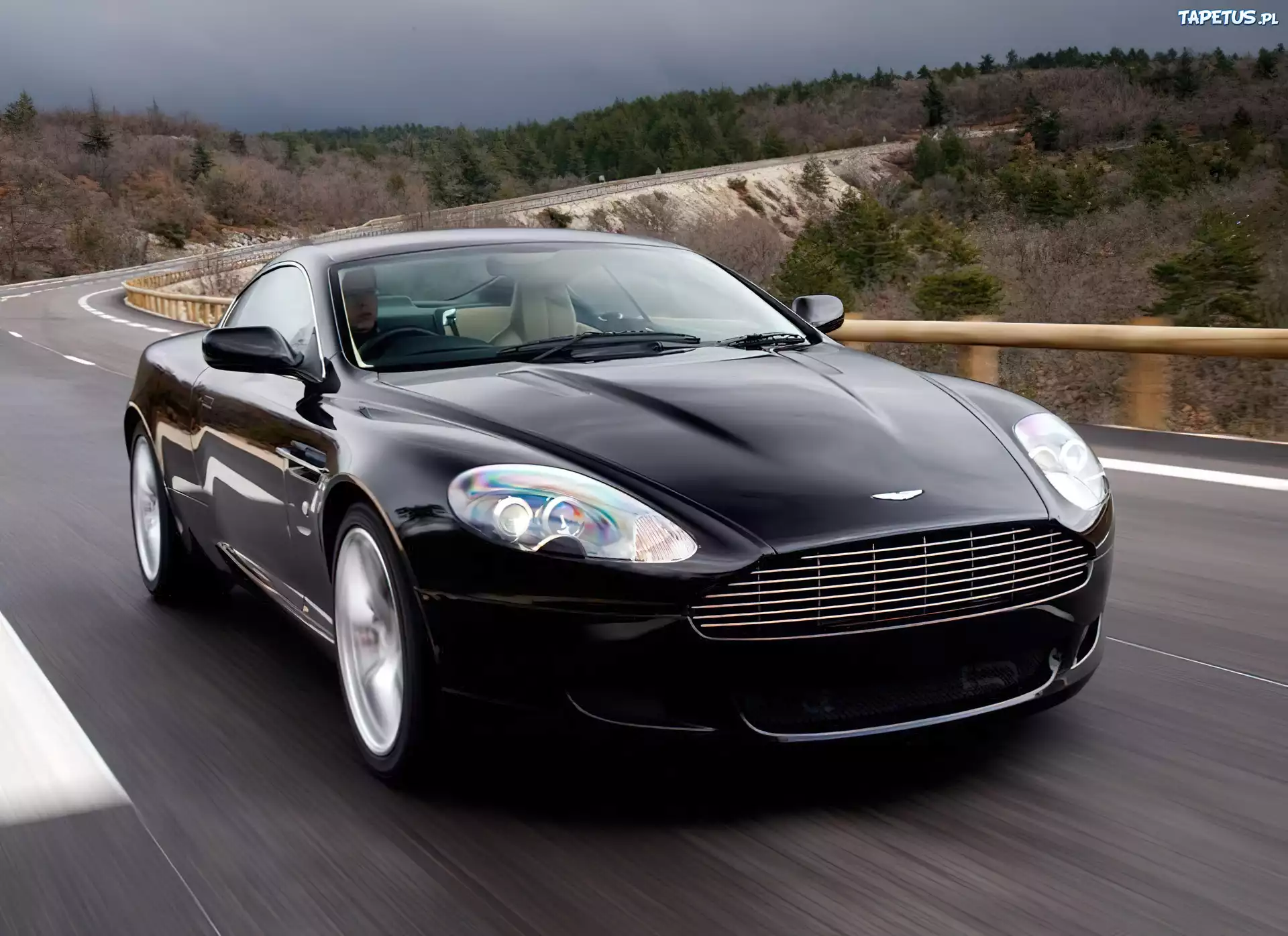 Aston Martin DB9, Maska, Grill, Zderzak