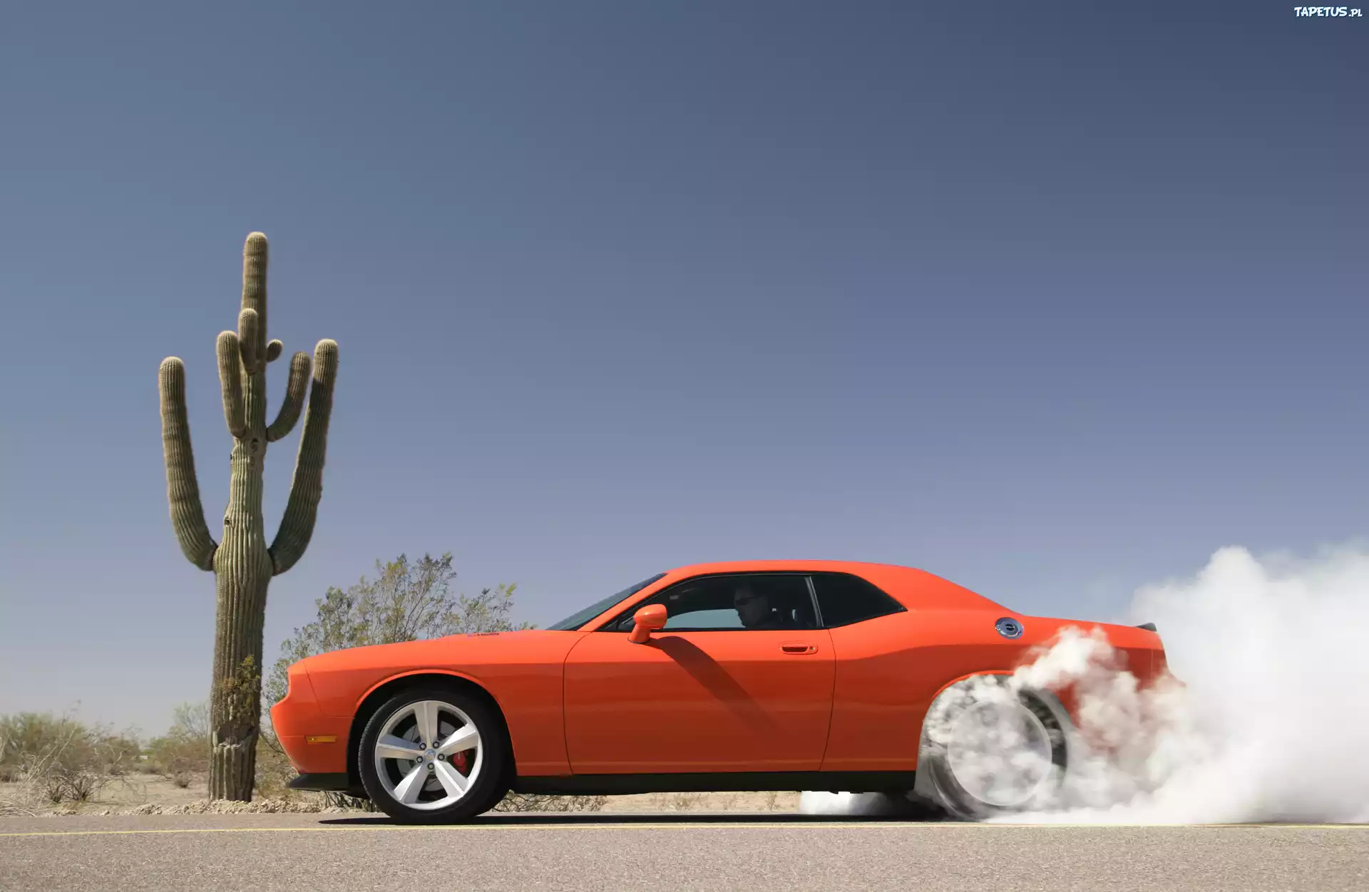Dodge Challenger, Kaktus, Kłęby, Dymu