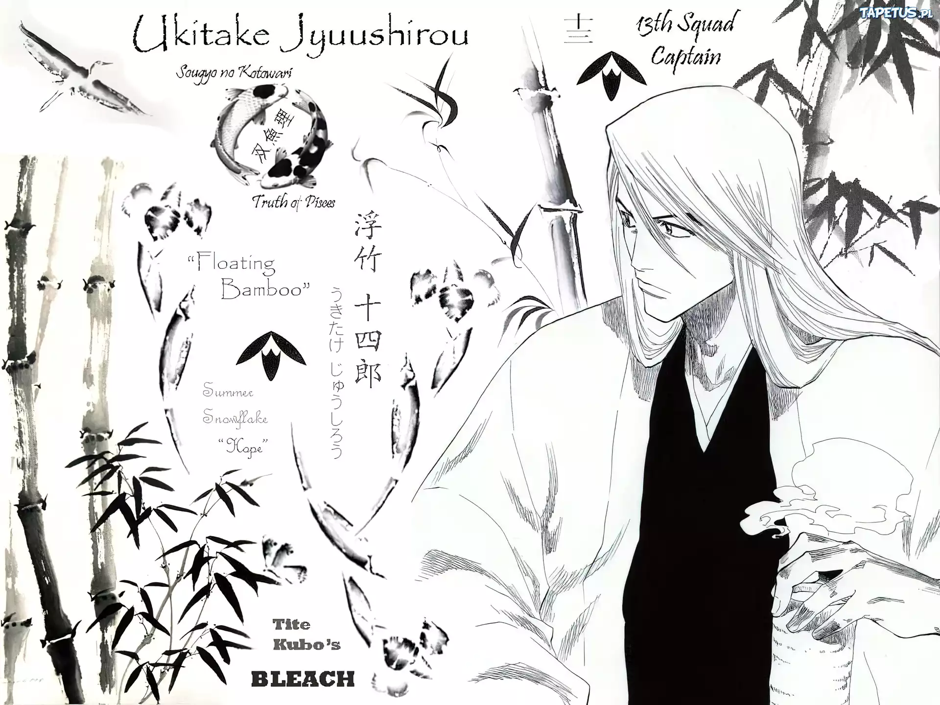 Jyuushiro Ukitake