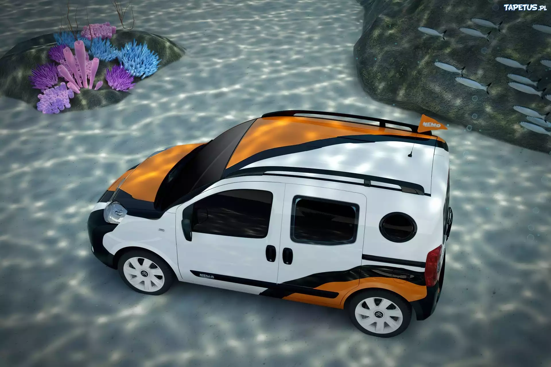Citroen Nemo, Ławica, Ryb