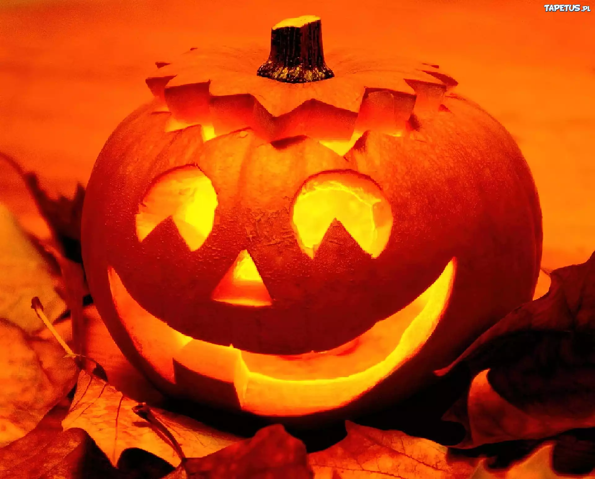 Dynia, Halloween, Świeczka