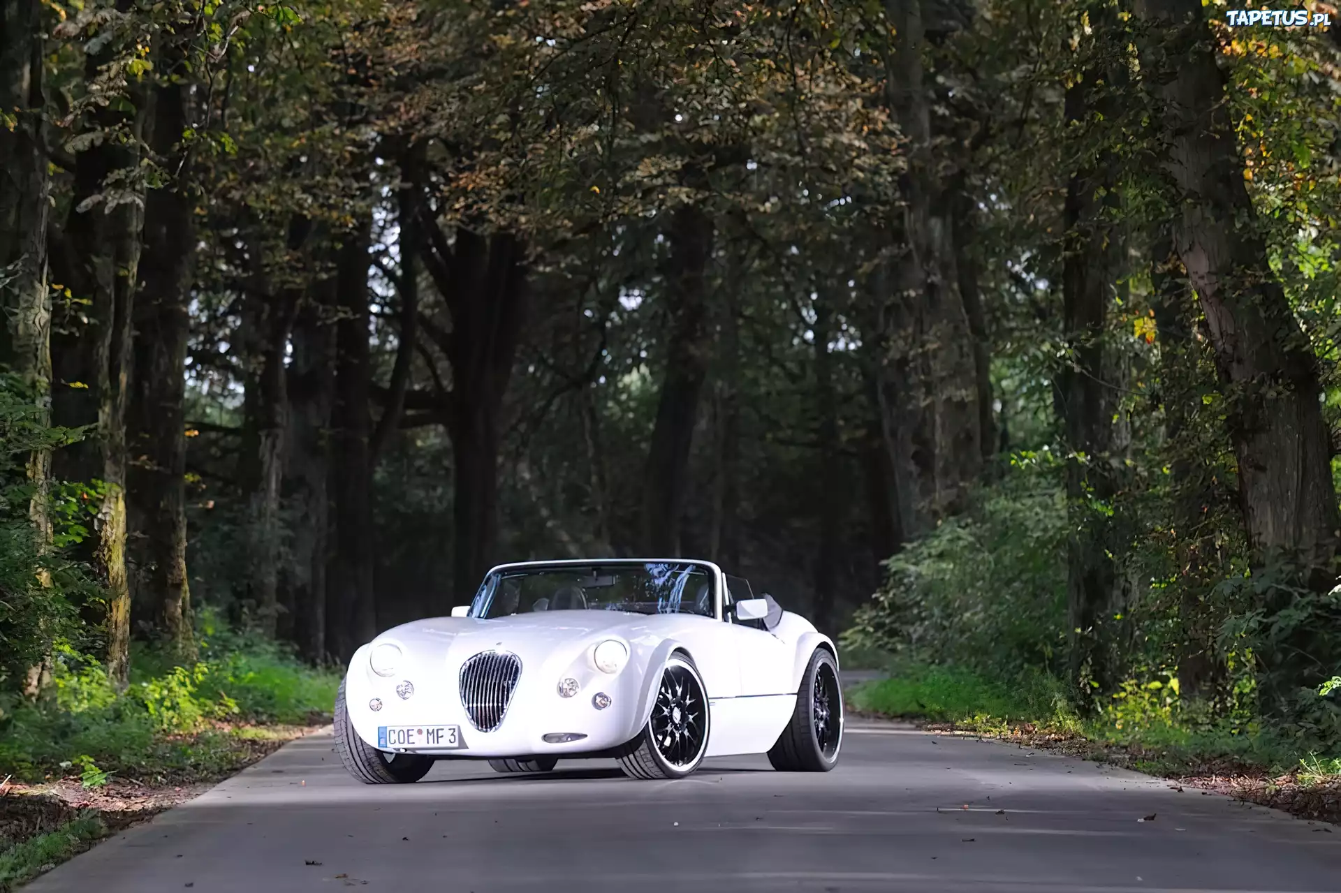 Biały, Wiesmann MF3, Droga