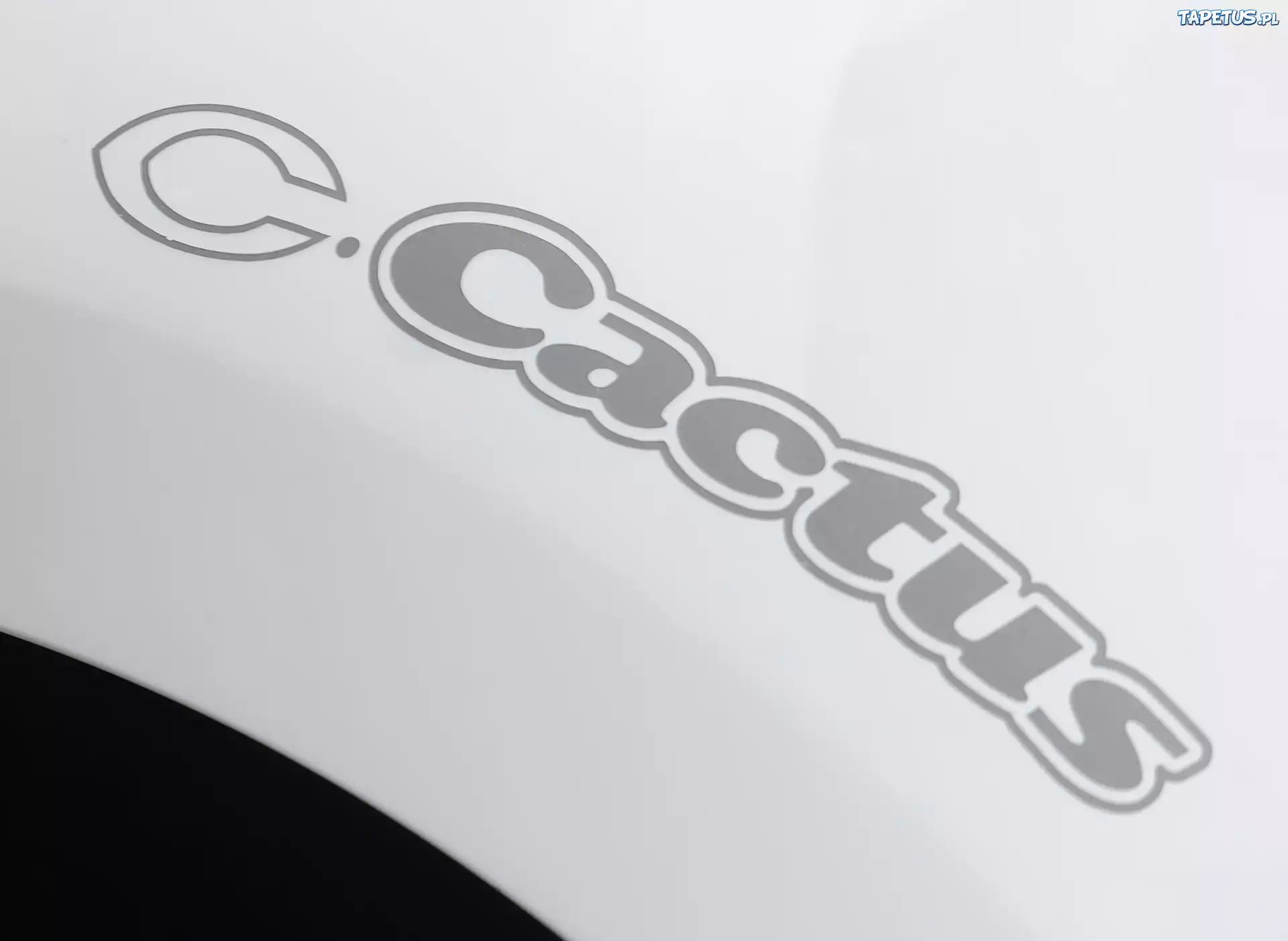 Logo, Citroen C-Cactus