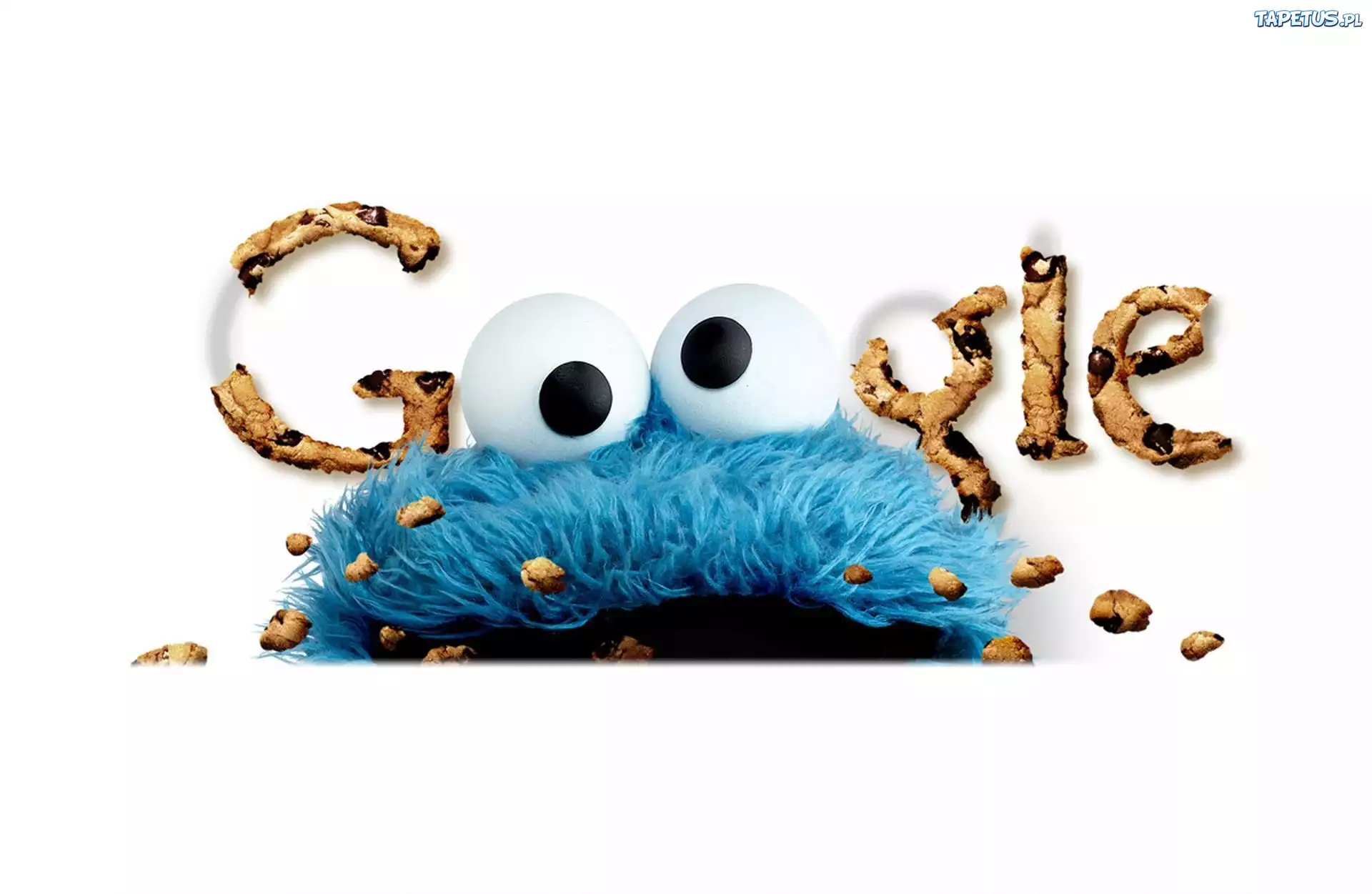 Google, Ciasteczkowy Potwór