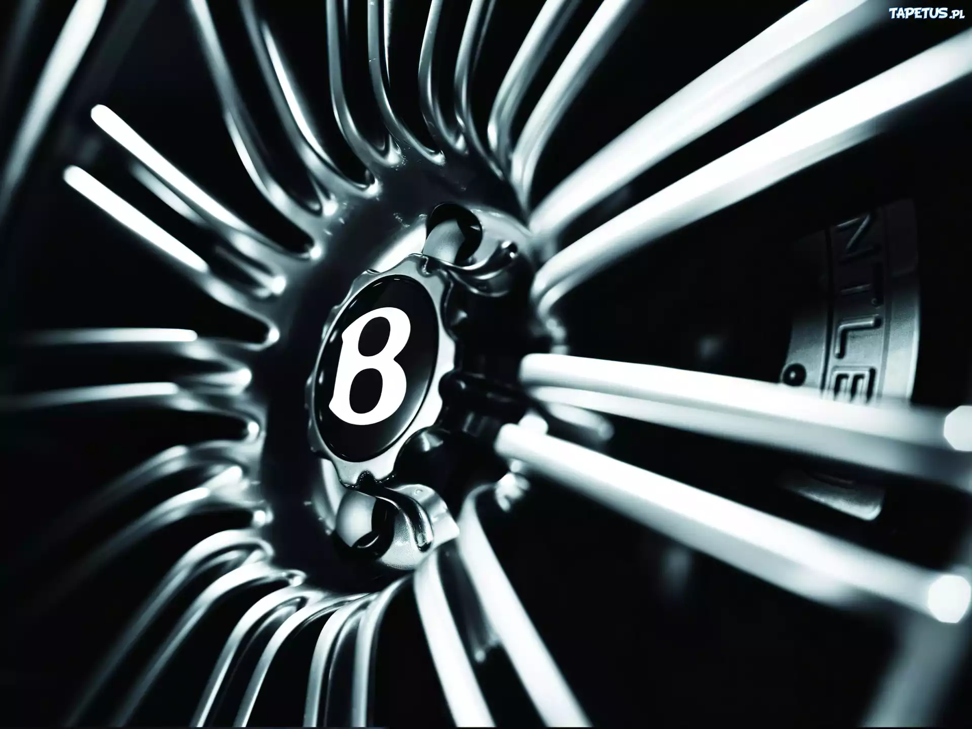Bentley Continental, Felga, Logo