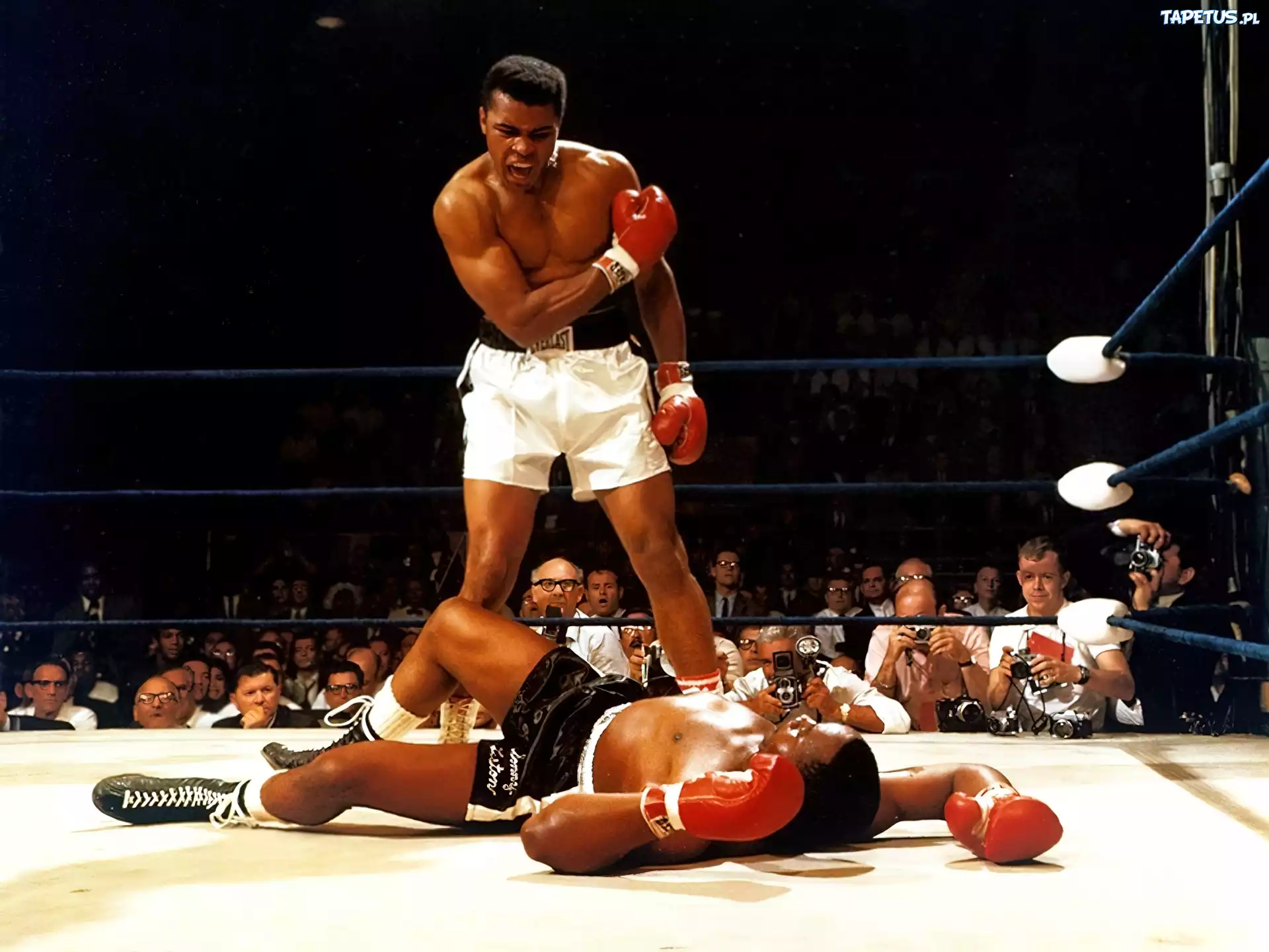 Muhammad Ali, Nokaut