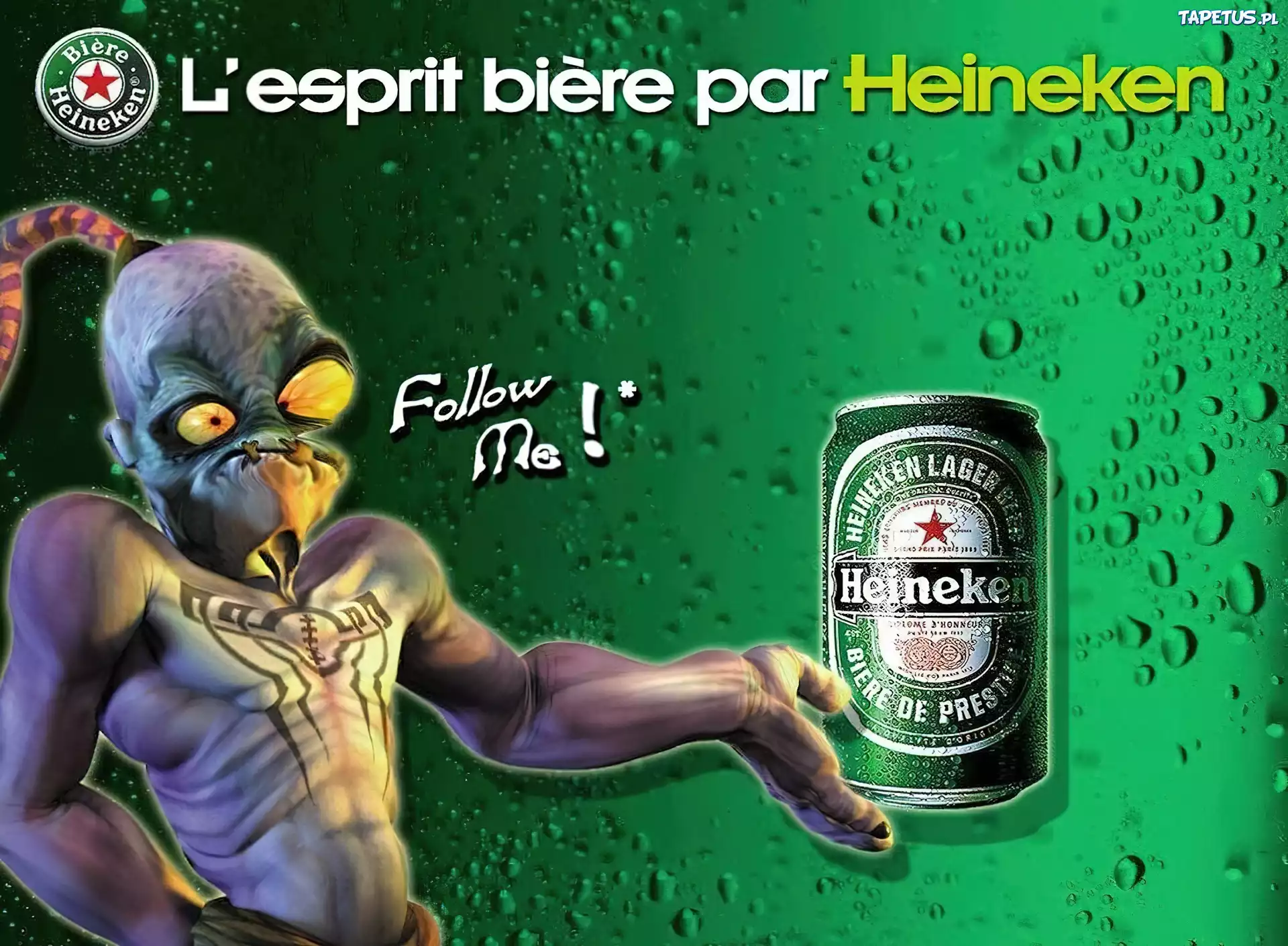 Piwo, Heineken, Puszka
