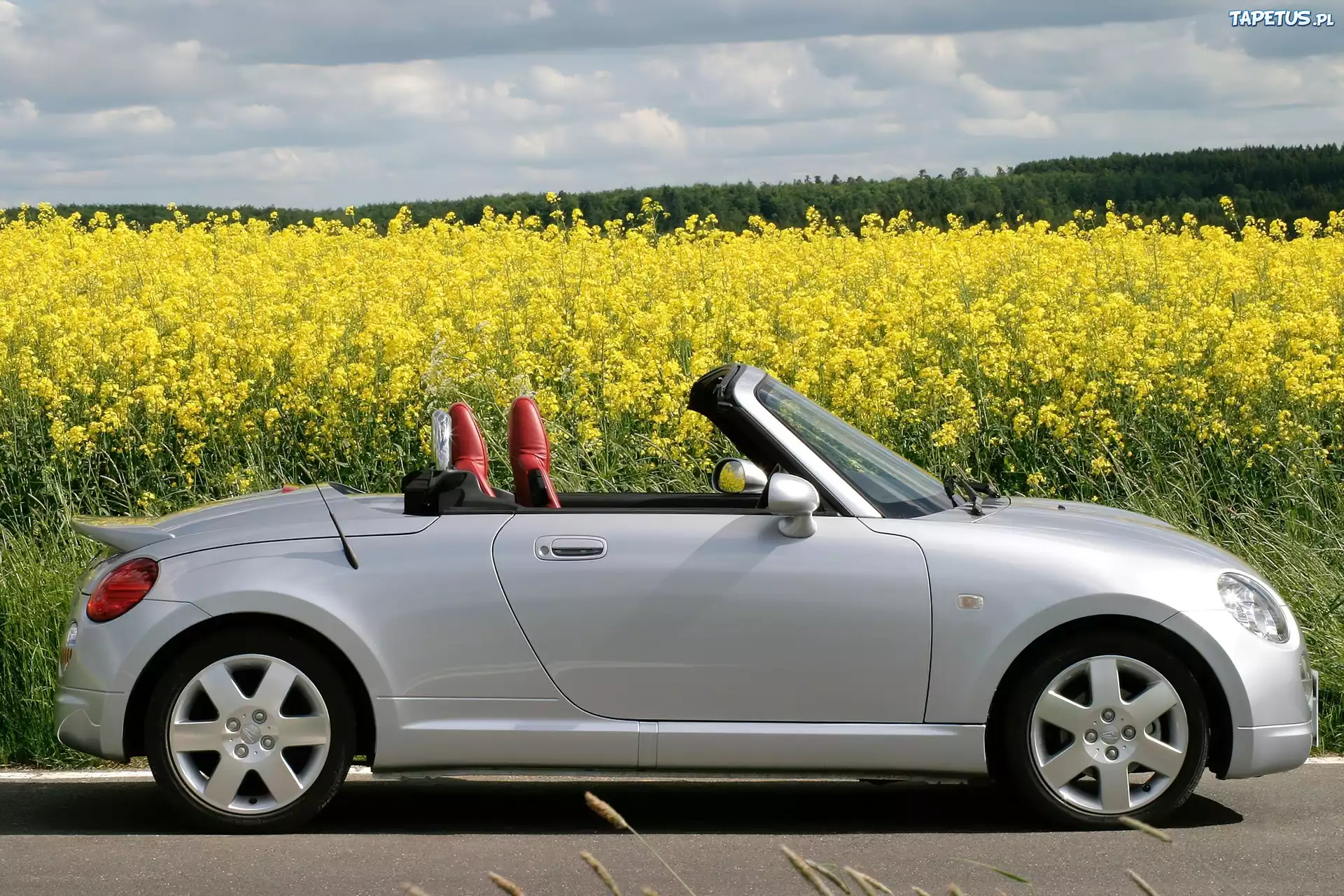 Prawy, Profil, Daihatsu Copen