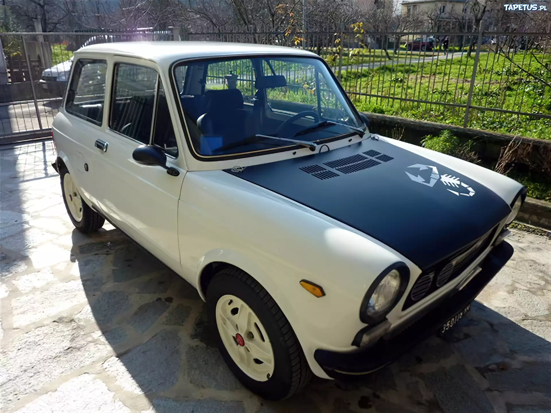 Kremowy, Autobianchi Bianchina, Naklejka, Skorpion