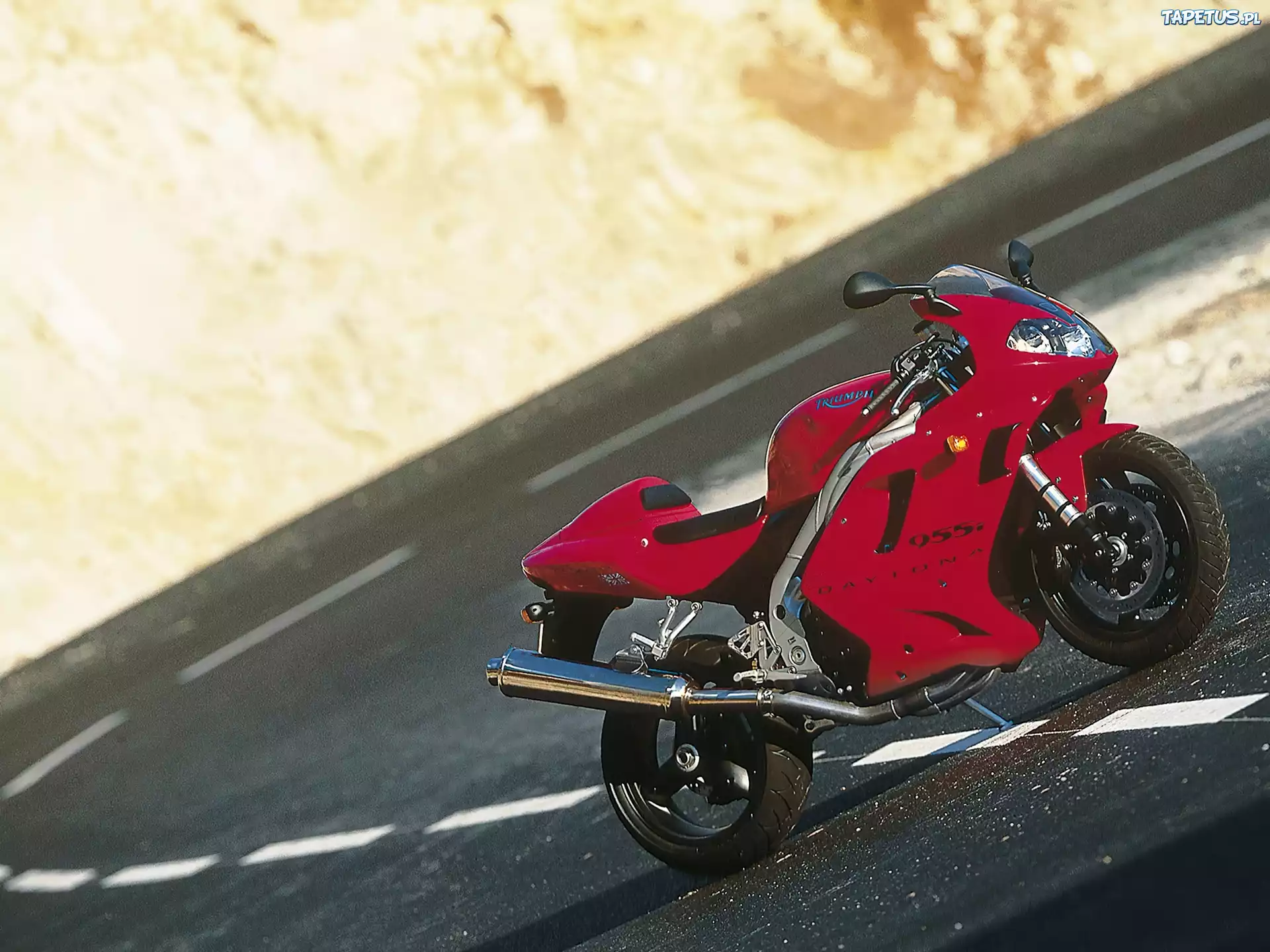 Triumph Daytona 955i, Ścigacz