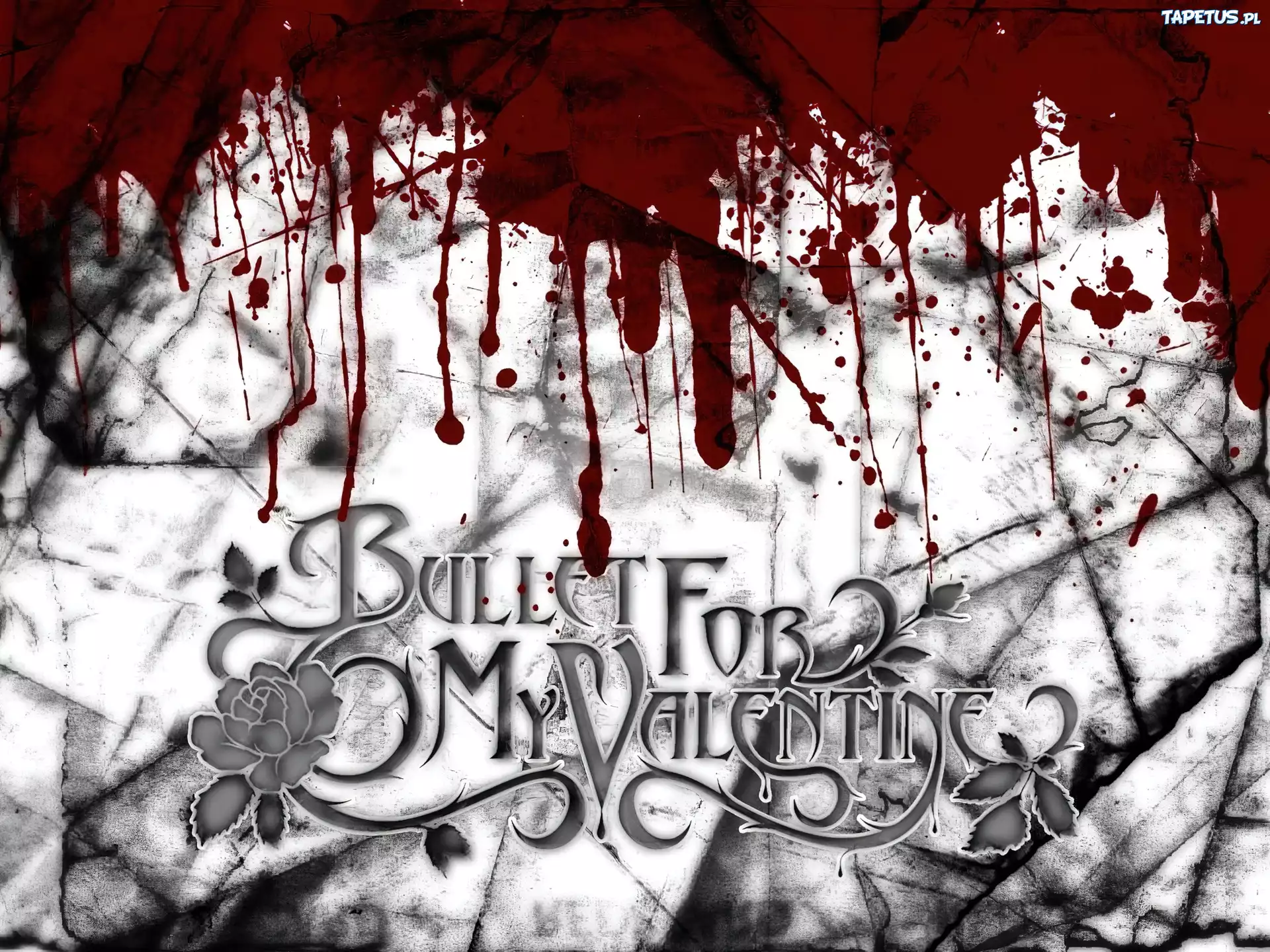 Bullet For My Valentine,nazwa zespołu