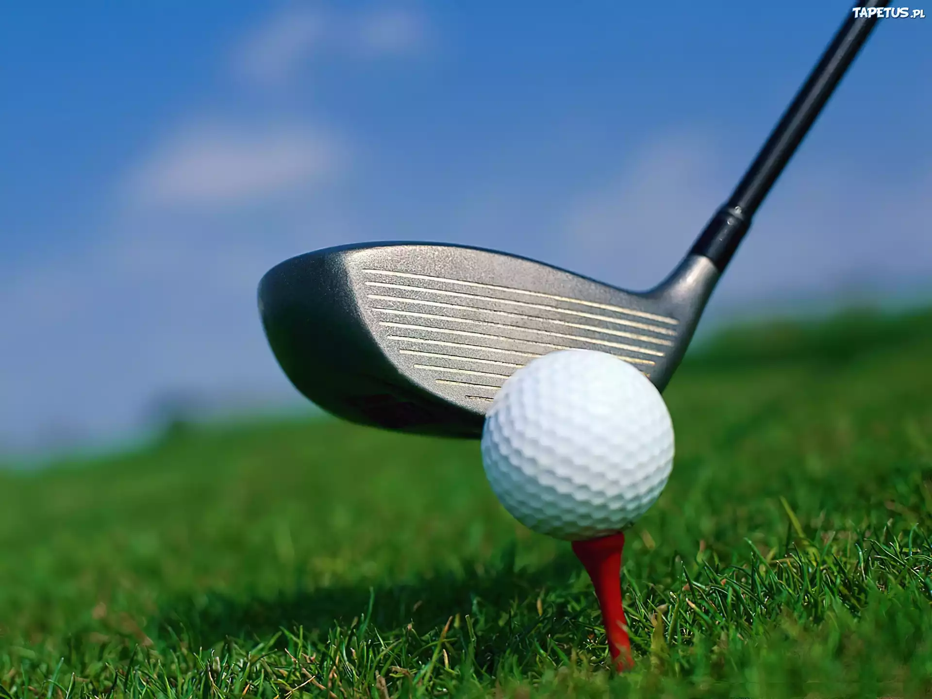 Sportowe Golf,piłka do golfa , kij golfowy